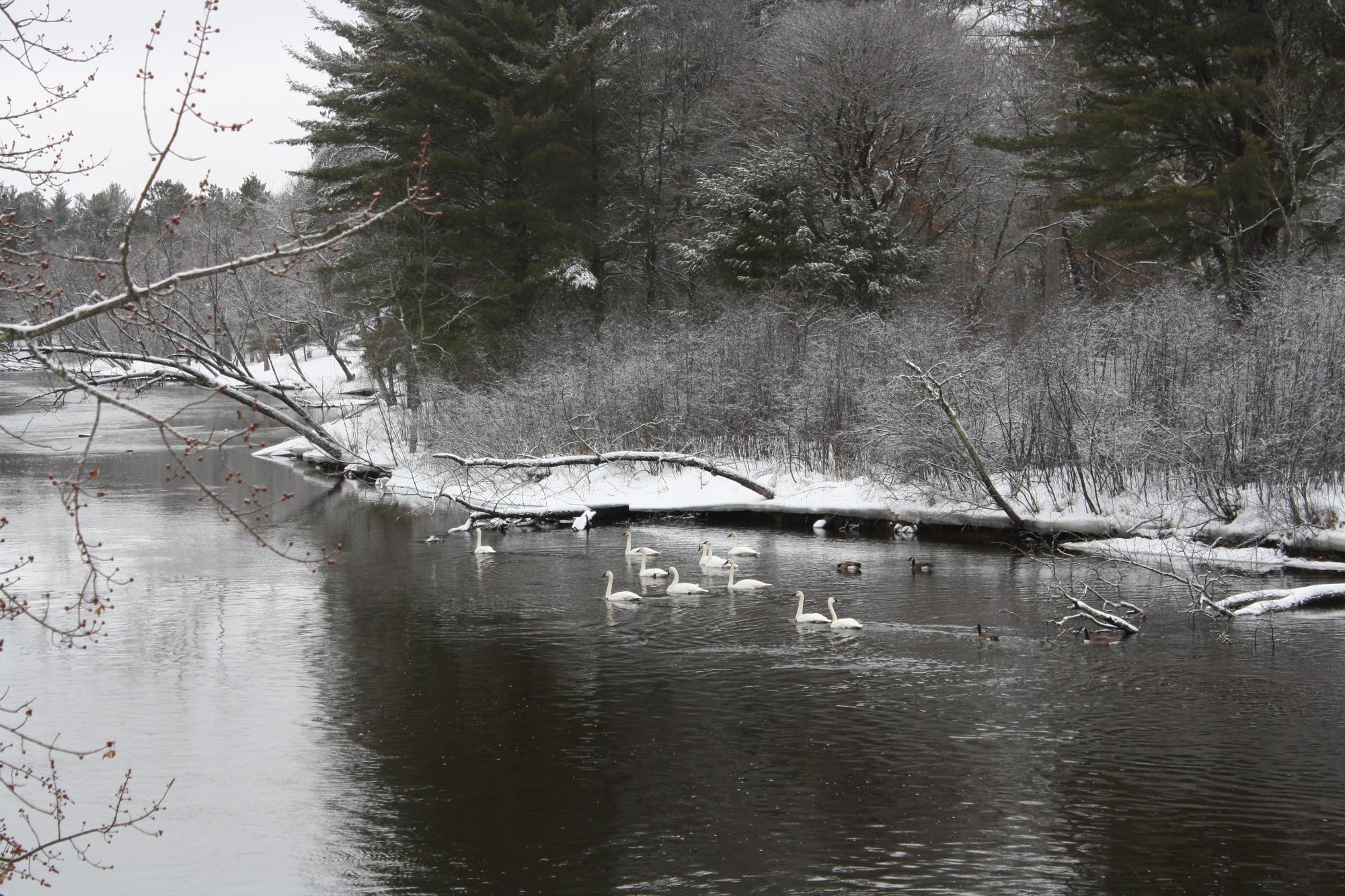 River Property Property ON West Rapids Rd Photo 9