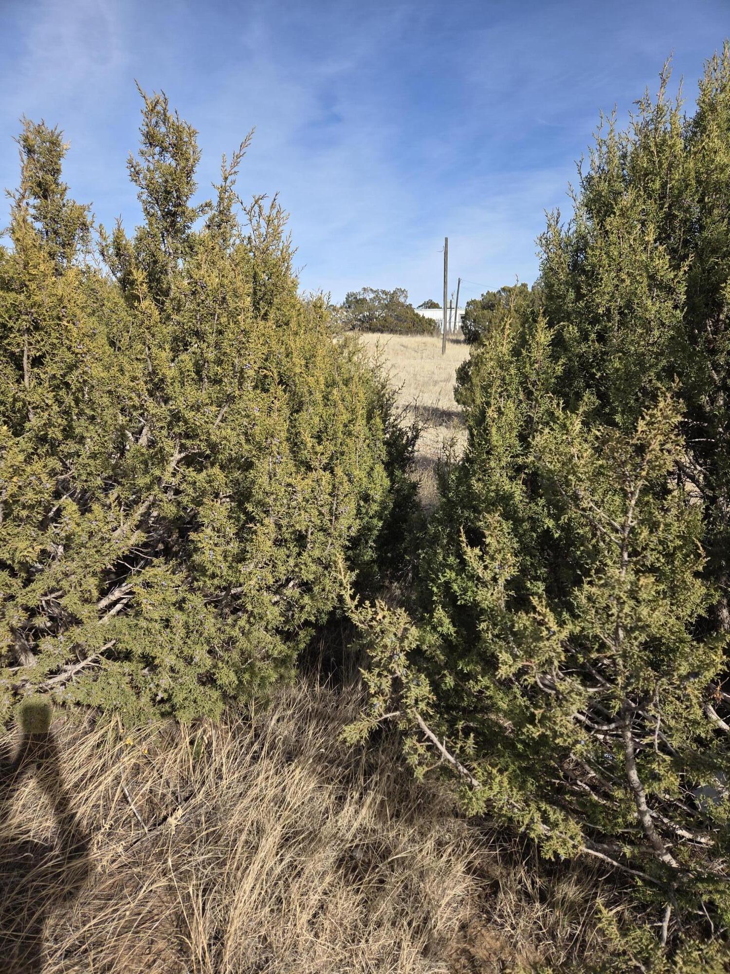10 Glacier Trail, Edgewood