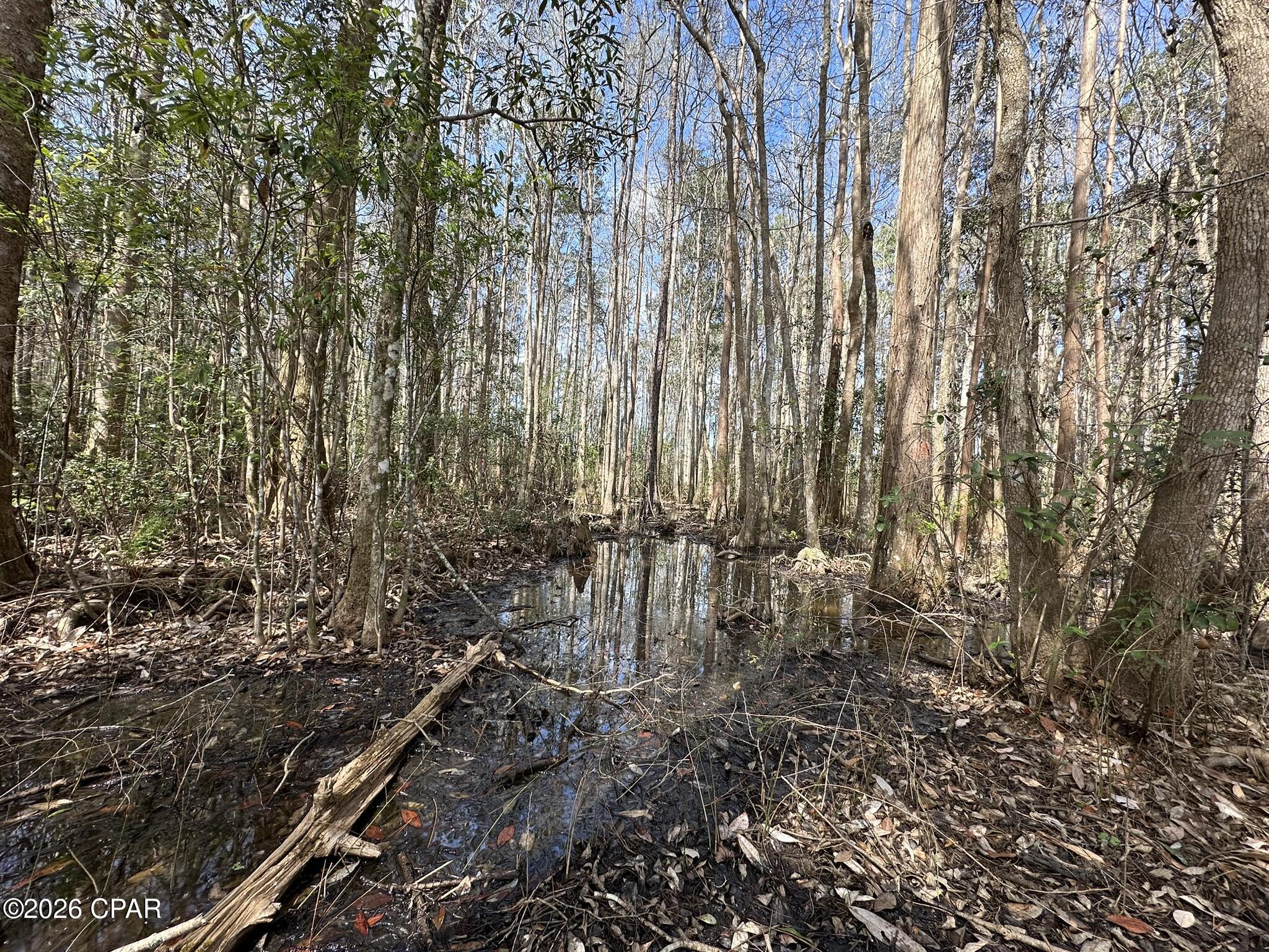Image 6 For Tract#6409 Davis Road River Road
