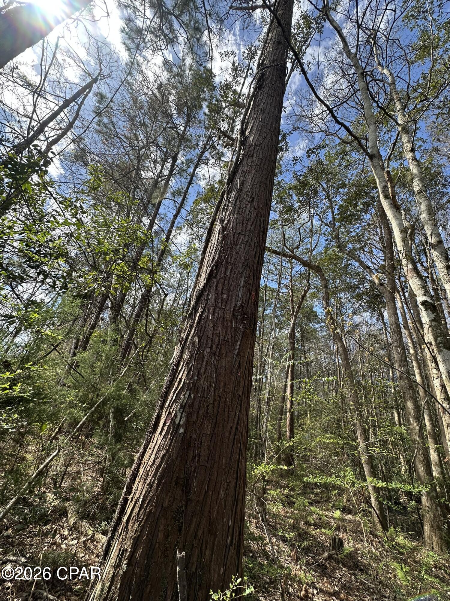 Image 7 For Tract#6409 Davis Road River Road