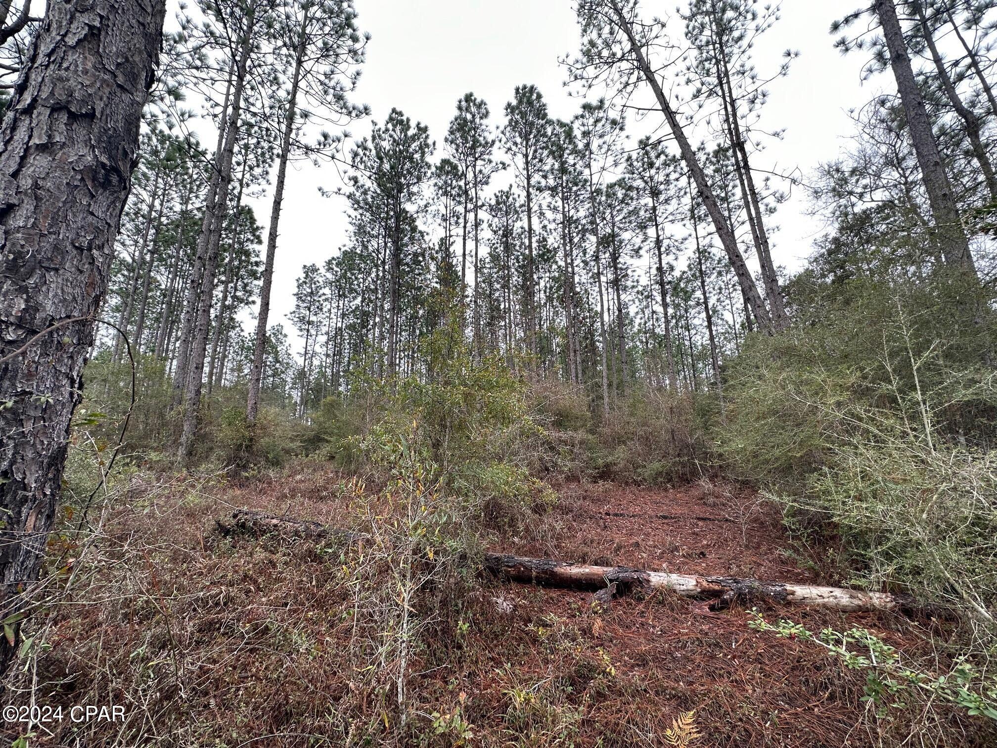 Image 1 For Tract 6418 Mattox Springs Road 1