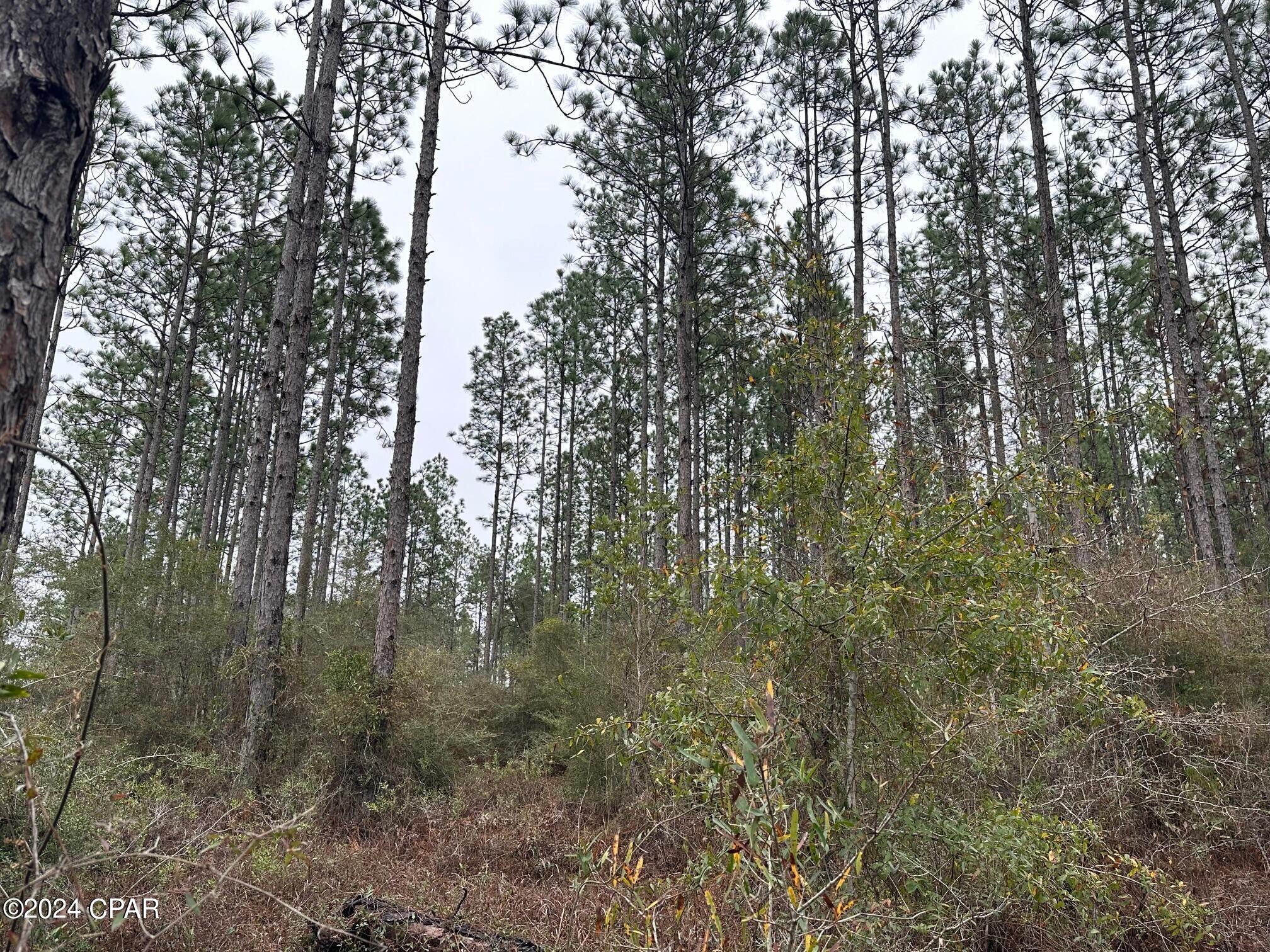 Image 4 For Tract 6418 Mattox Springs Road 1
