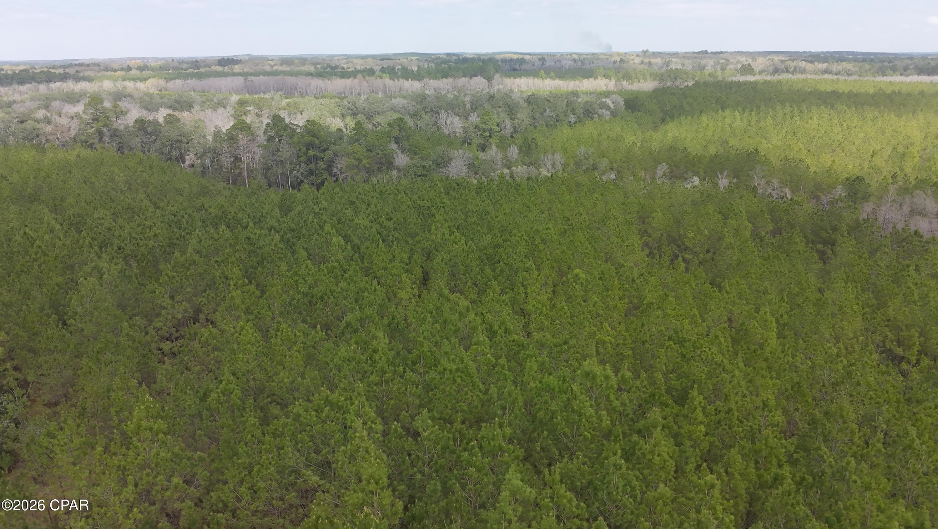 Image 4 For Tract 6418 Mattox Springs Road 1