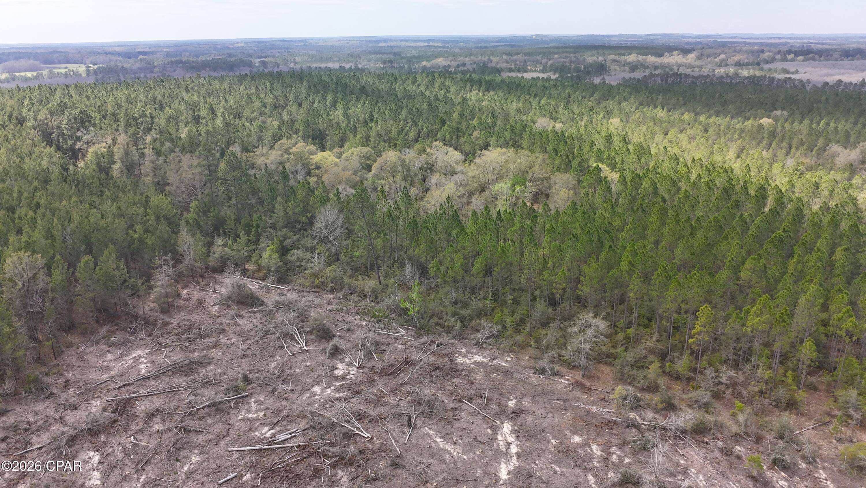 Image 6 For Tract 6418 Mattox Springs Road 1