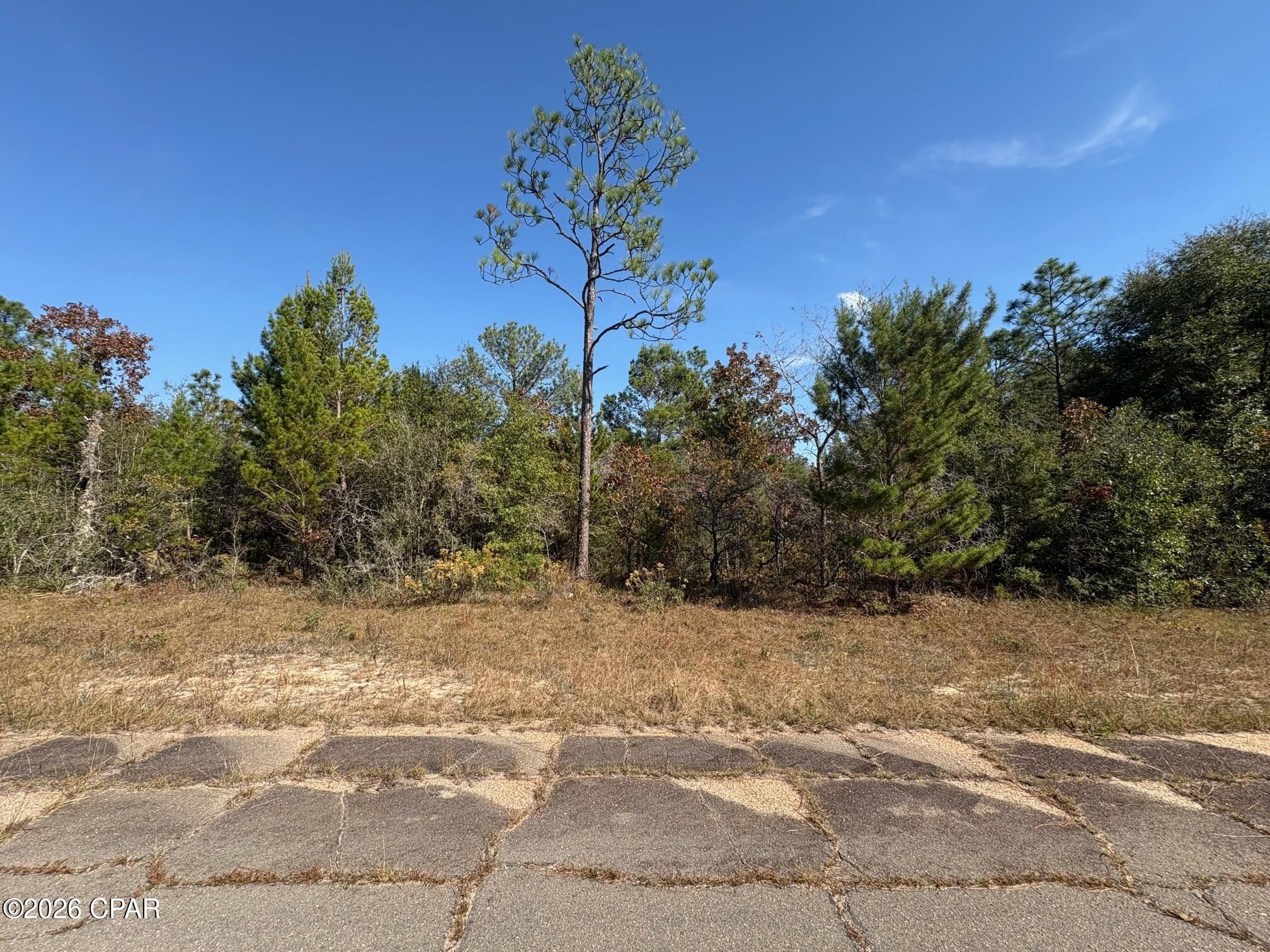 Details for Lot 5 Bonita Drive, Chipley, FL 32428