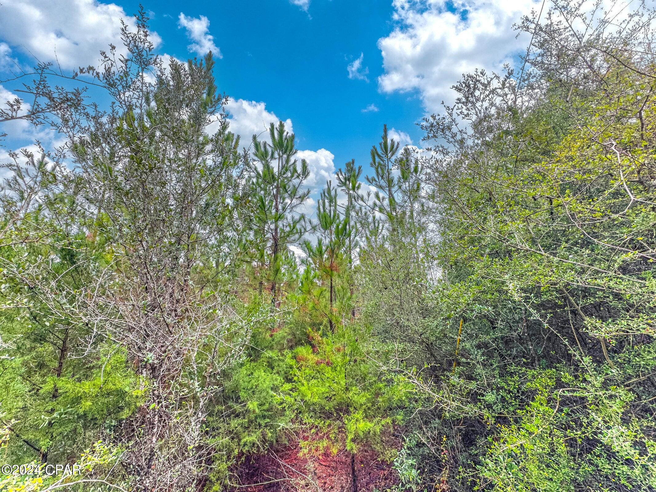 Image 1 For Tract 6418 Union Hill Road Bryant Bay