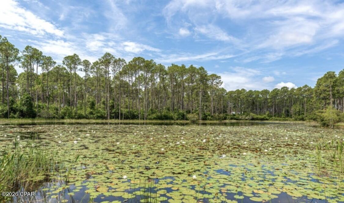 Image 15 For 7642 Coastal Hammock Trail