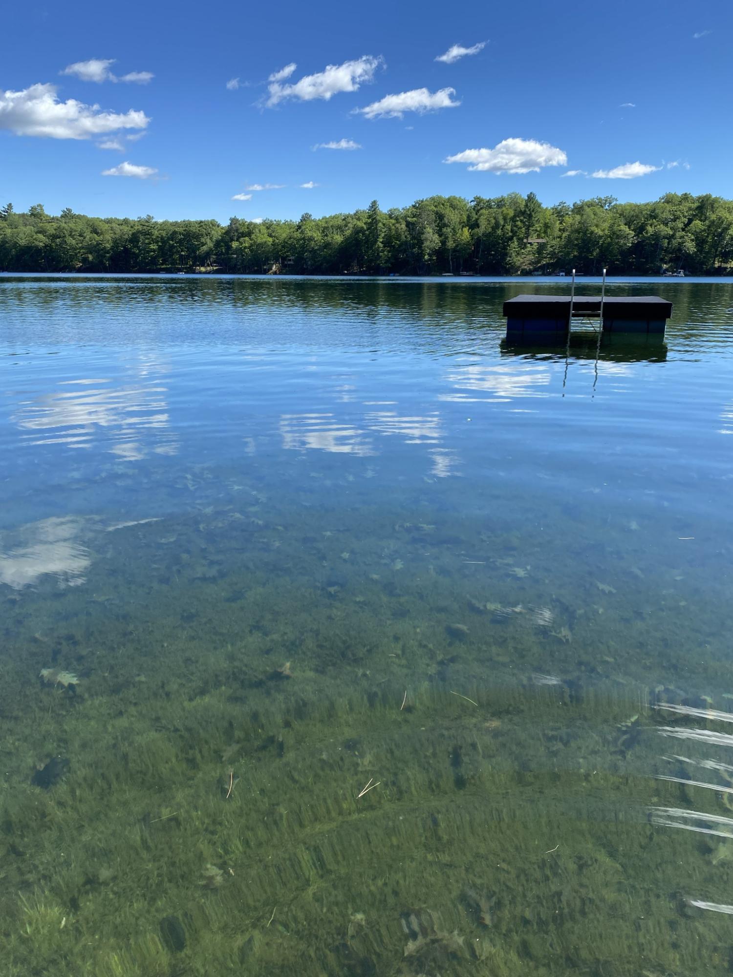 Lee Lake Property 9799 Lee Lake Rd Photo 74