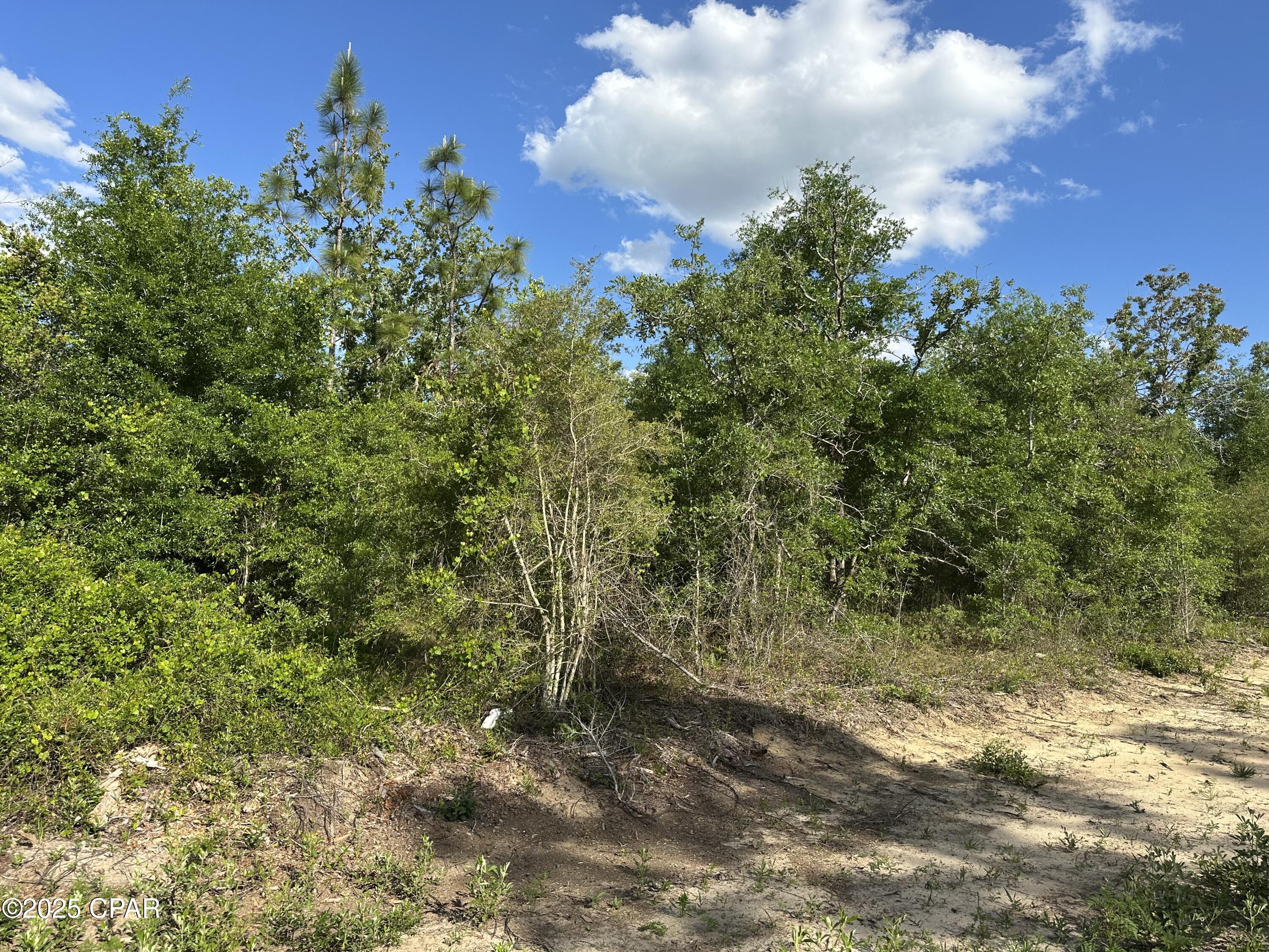 Details for 0000 Lakeside Avenue Lot 16 & 1, Altha, FL 32421