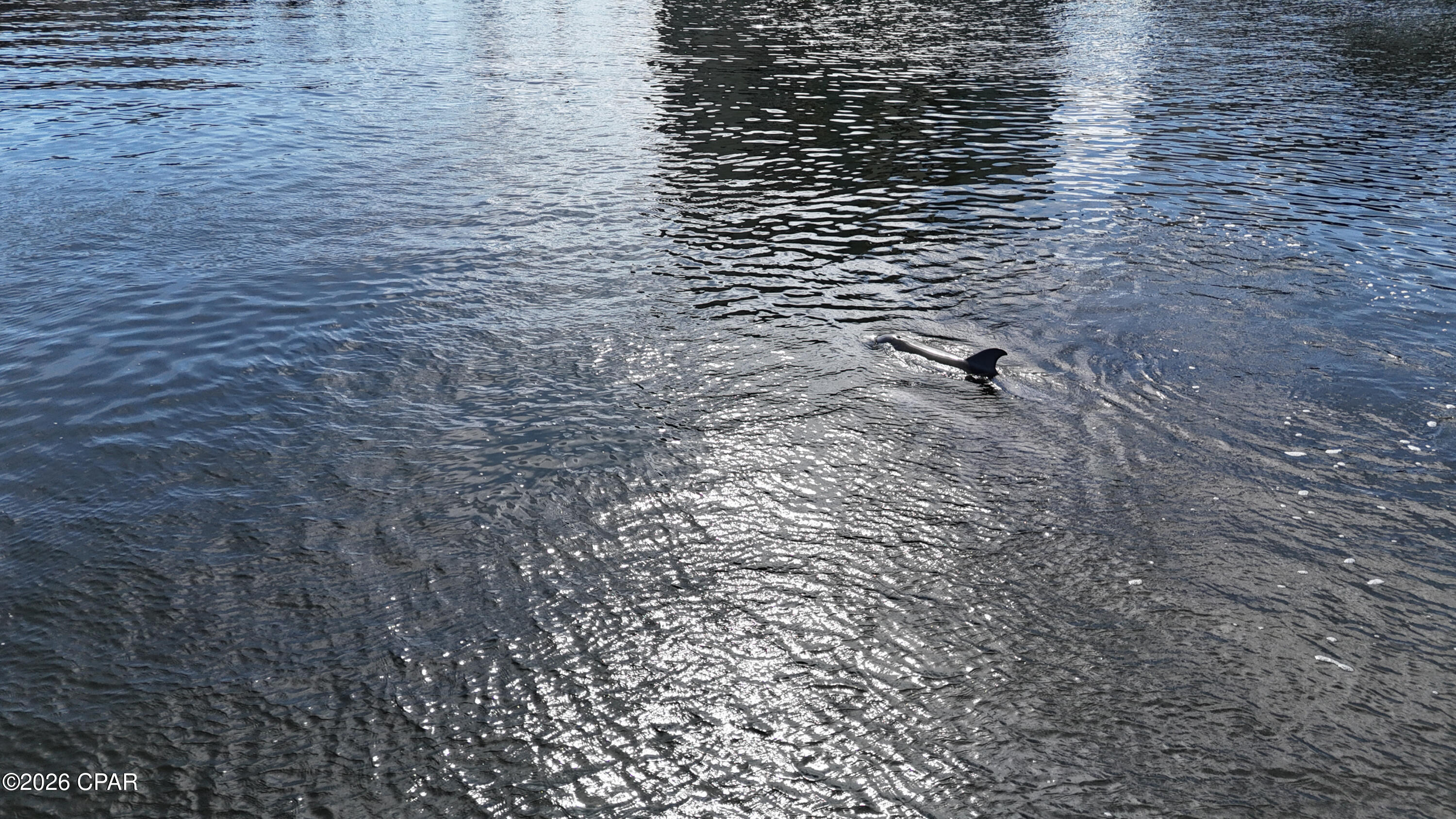 Image 63 For 6215 Big Daddy Drive