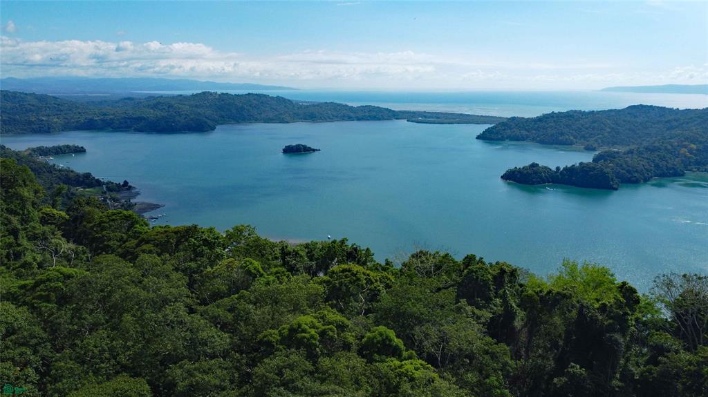  bed Land For Sale in Golfito, Puntarenas - 1