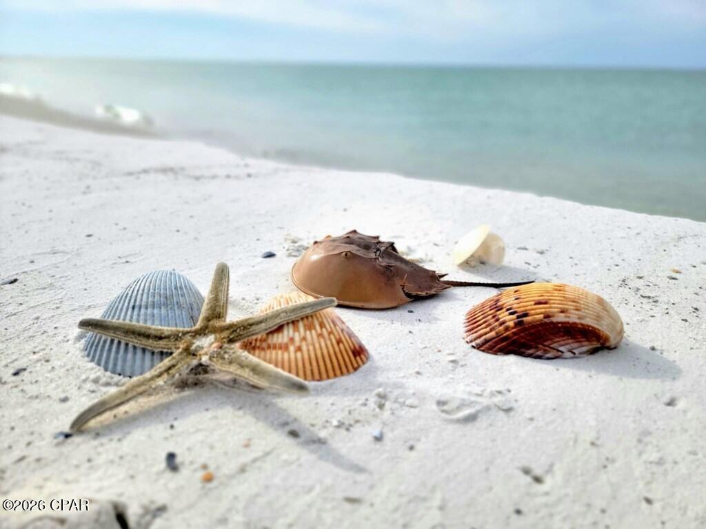 Image 10 For Lot 5 Planters Way