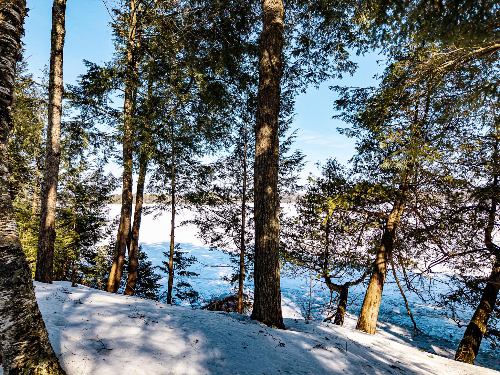 Armour Lake Property 11532 Rays Dr Photo 39