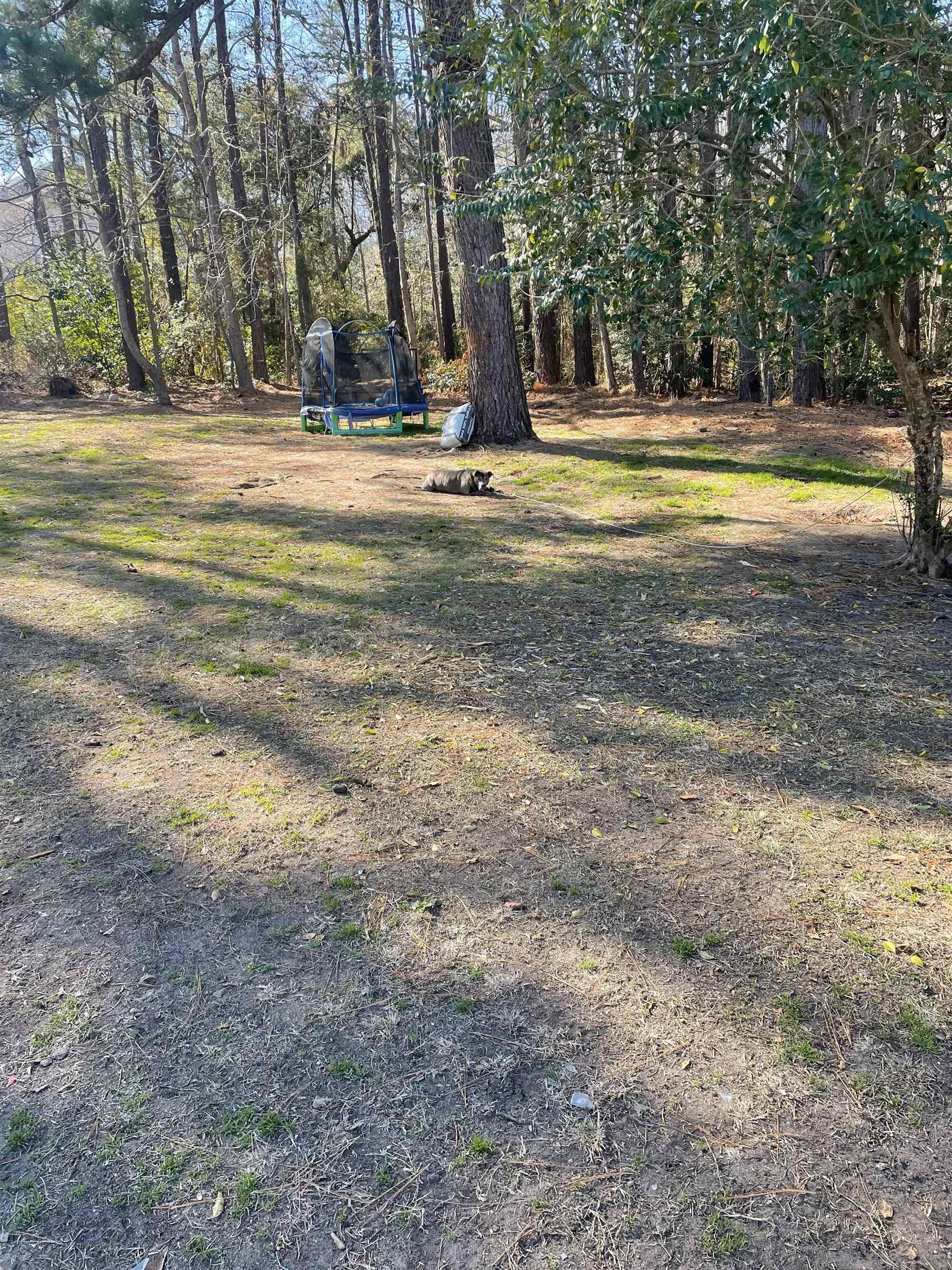 TBD Lomax Ct. Murrells Inlet, SC 29576