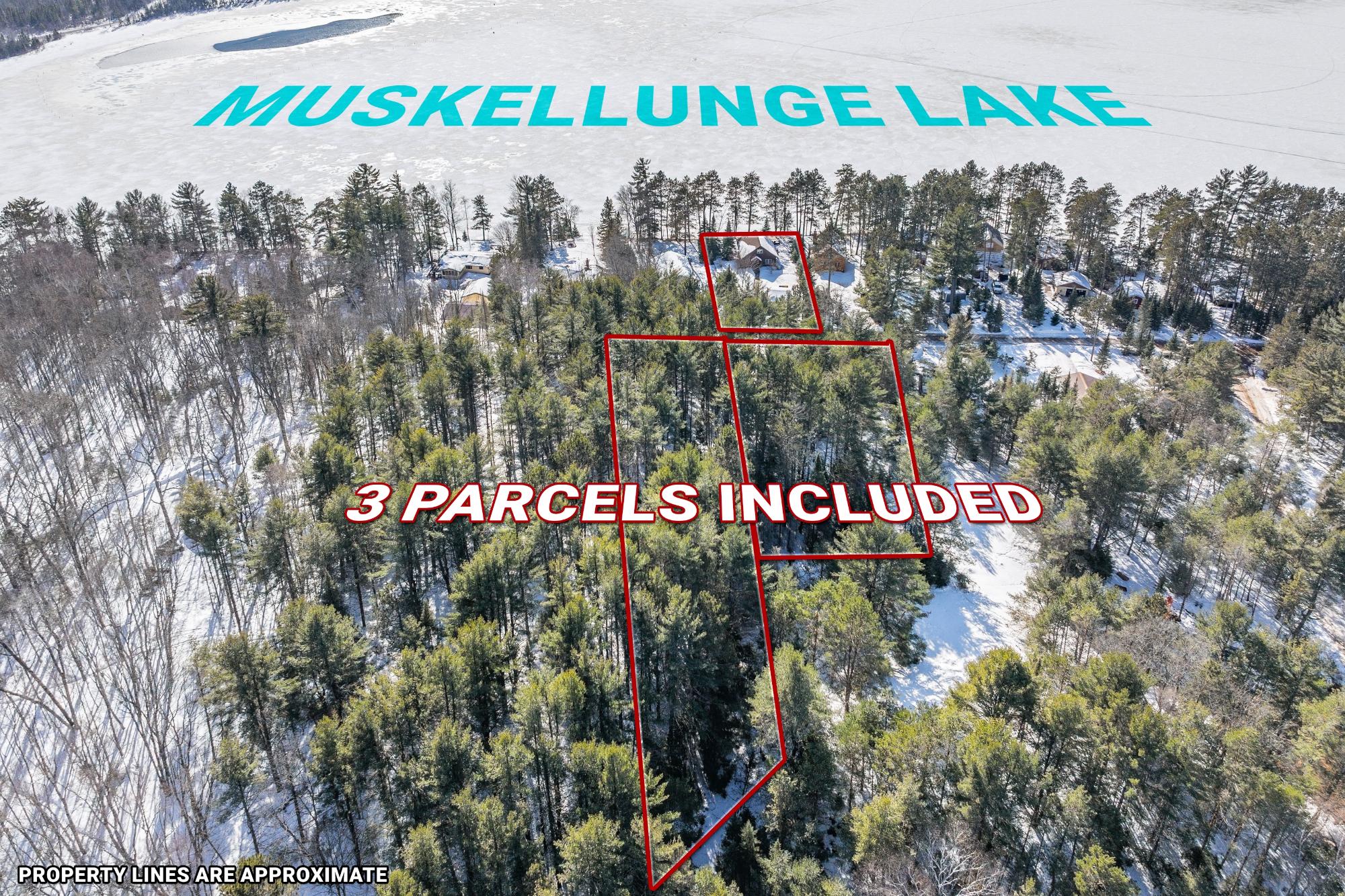 Muskellunge Lake (C) Property 2133 Lofty Pines Ln Photo 3