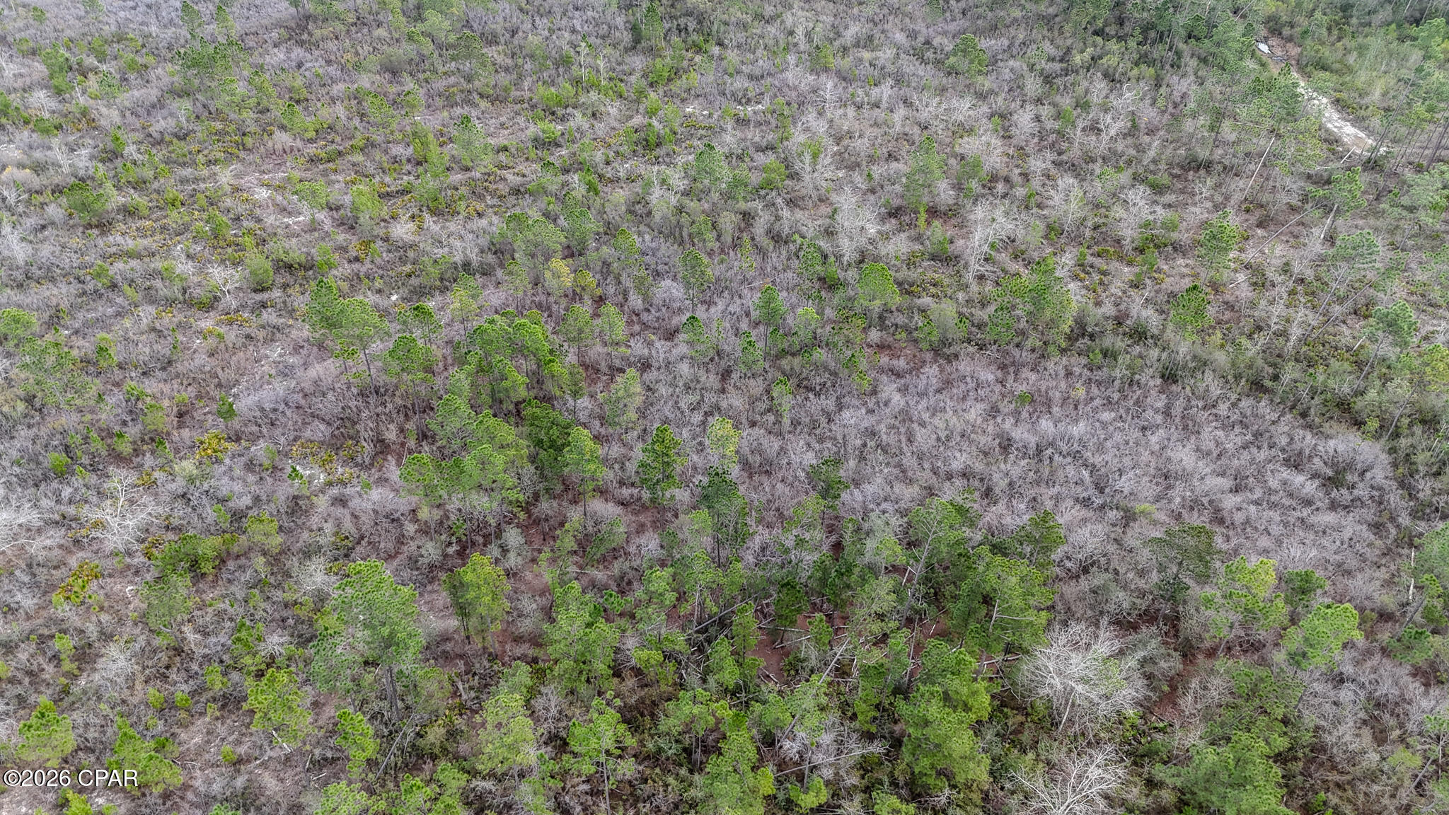 Image 10 For 10112 Silver Lake Road