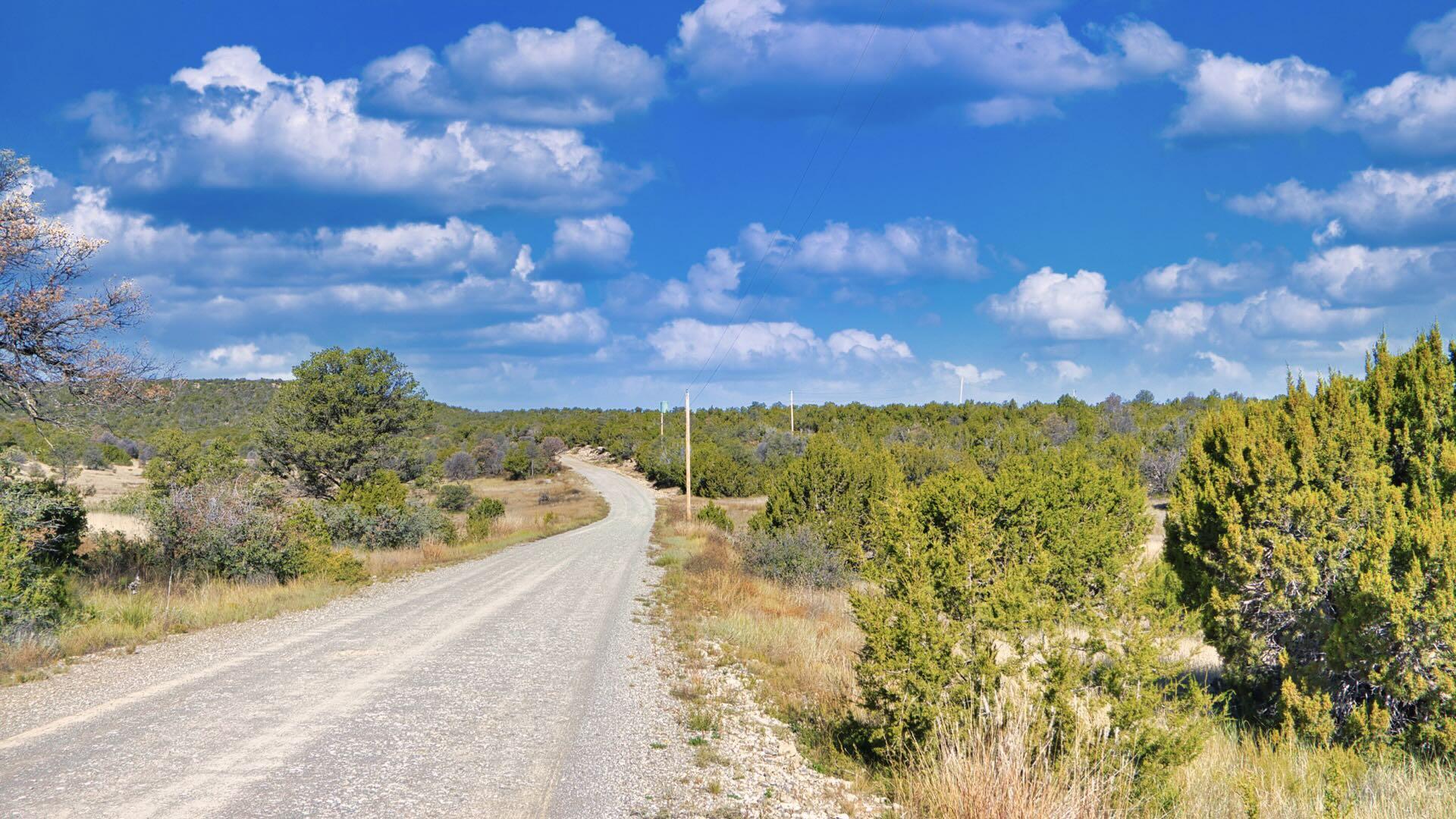 50 Manzano Morning Drive Estancia, NM 87016