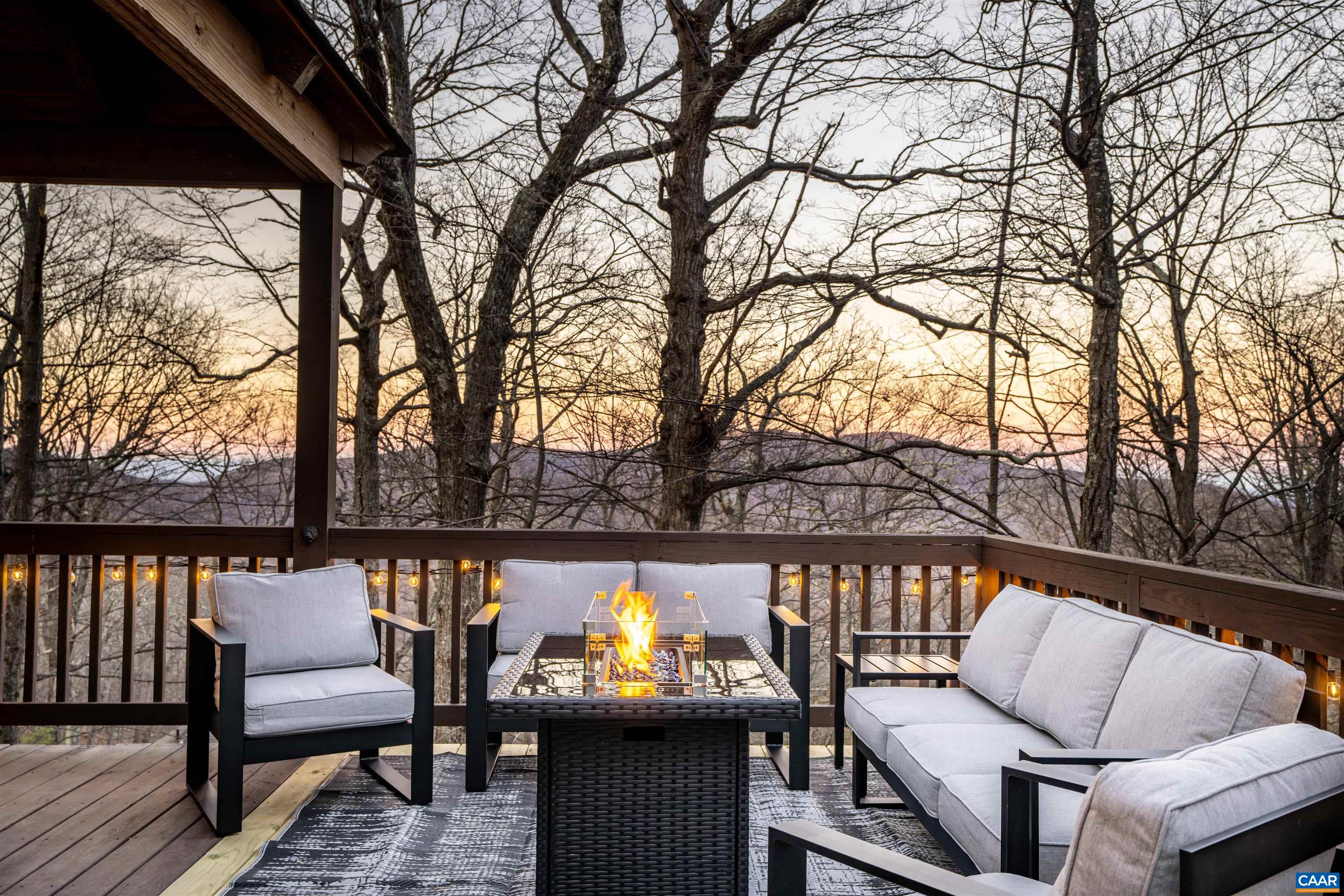 96 SQUIRREL TREE LN, Wintergreen Resort, VA 22967