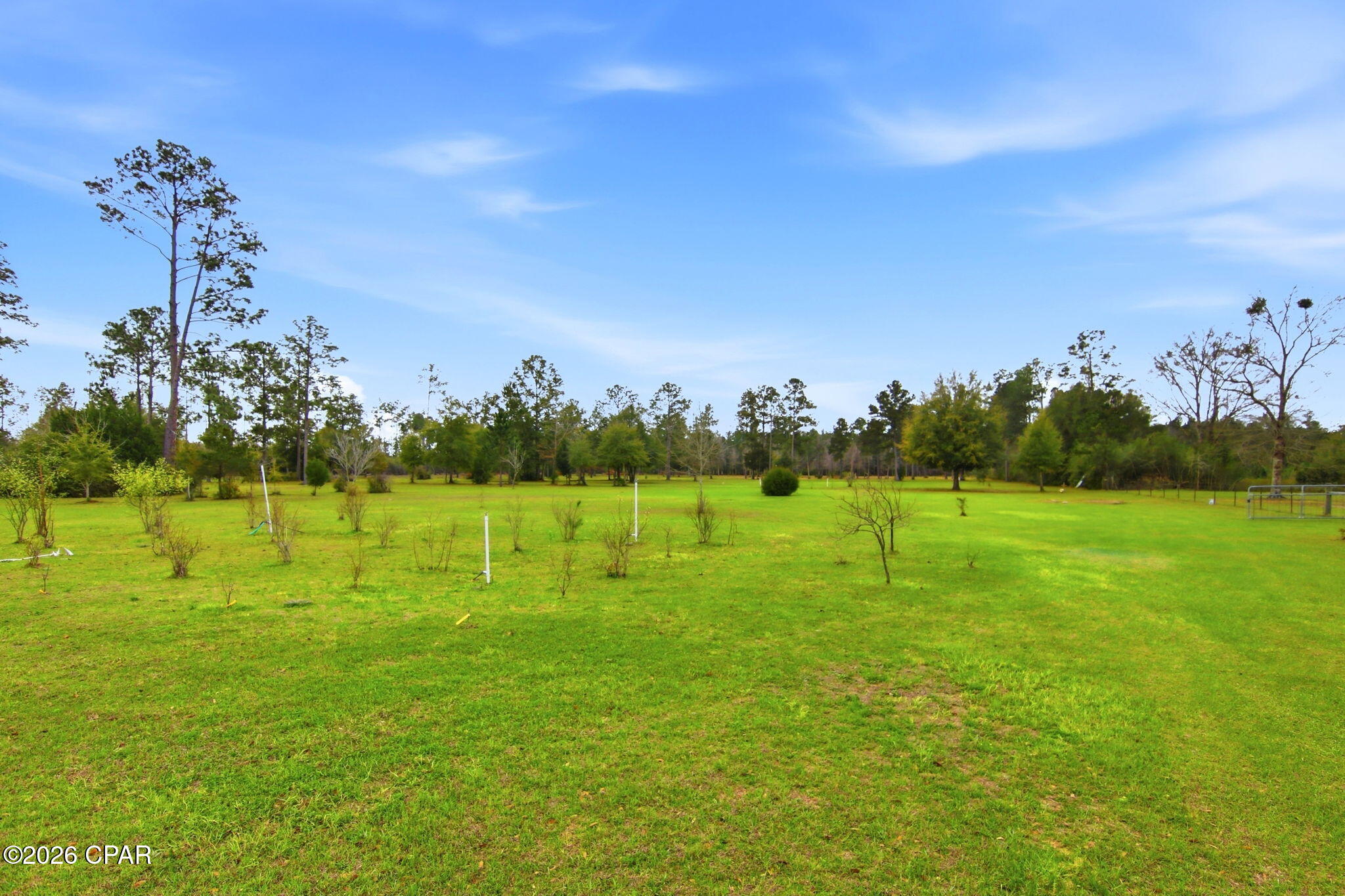 Image 54 For 11908 Owenwood Road