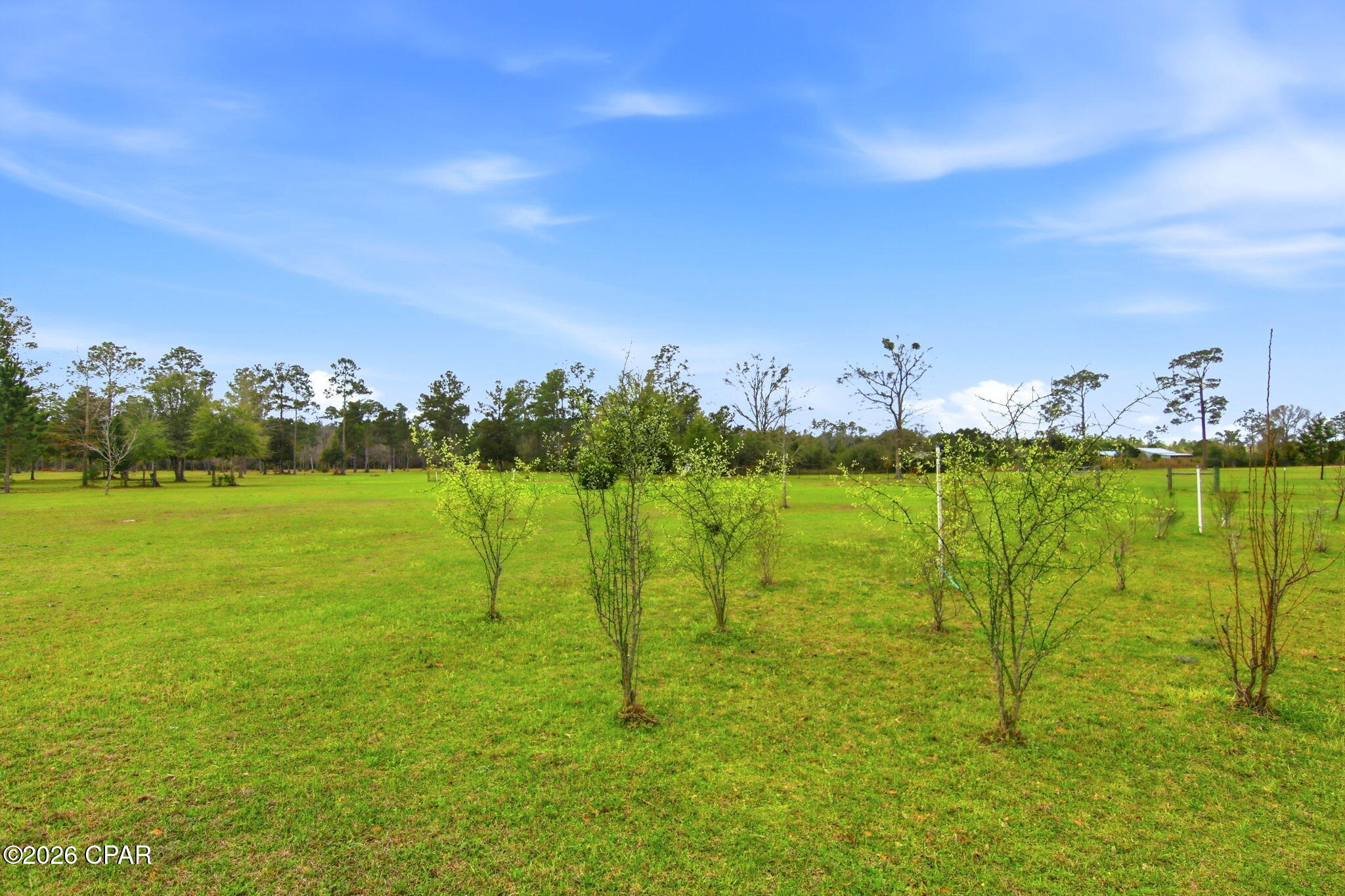 Image 55 For 11908 Owenwood Road