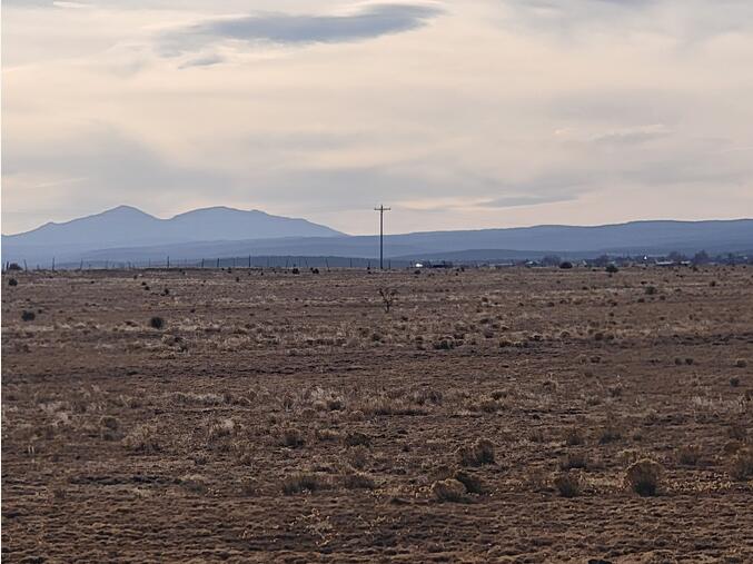 Photo 4 — 9 Chavez Road