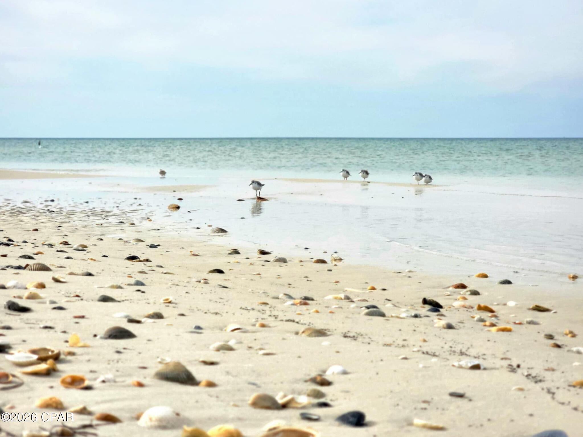 Image 13 For 2276 Indian Pass Road