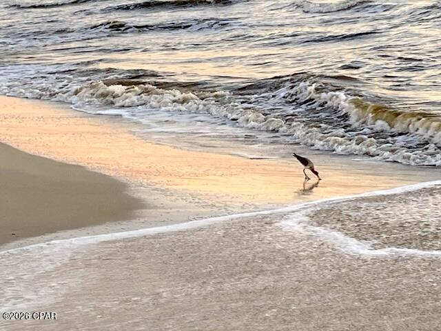 Image 15 For 2276 Indian Pass Road