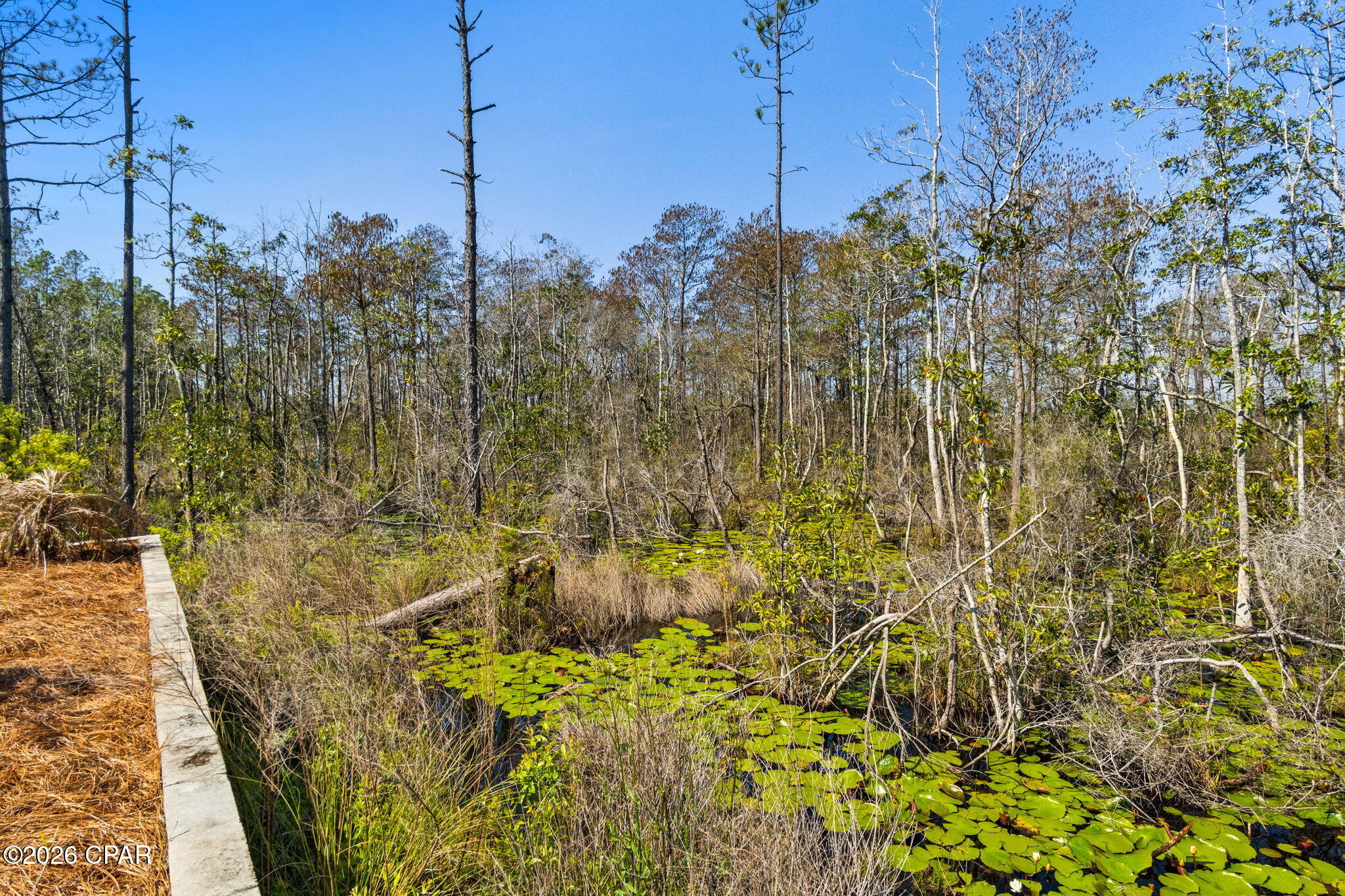 Image 17 For 300 Foxtail Way