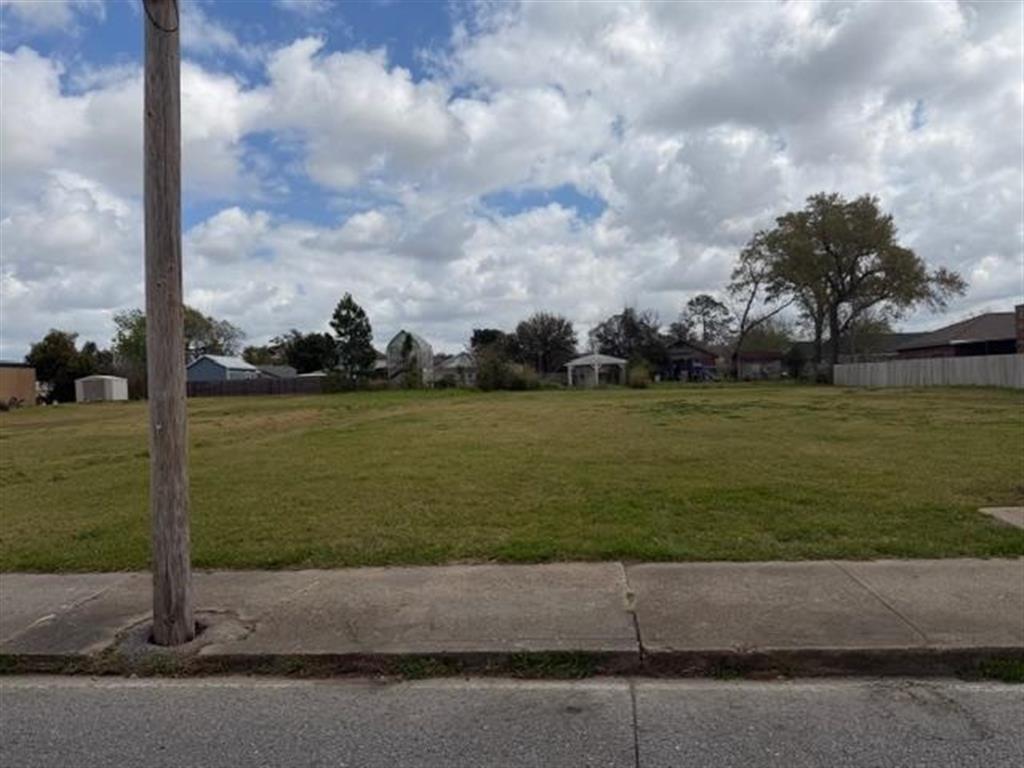 1727 Ryan Street — photo 3