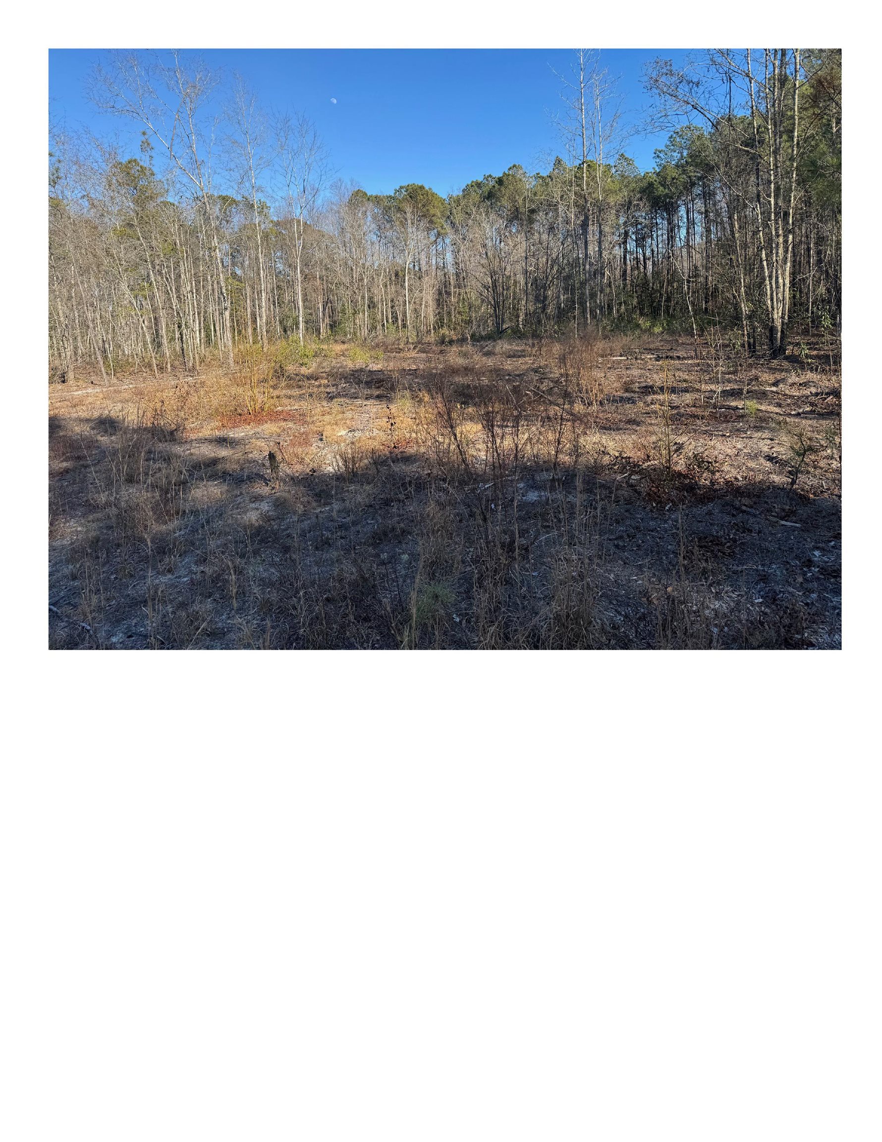 TBD Highway 45 Loris, SC 29569