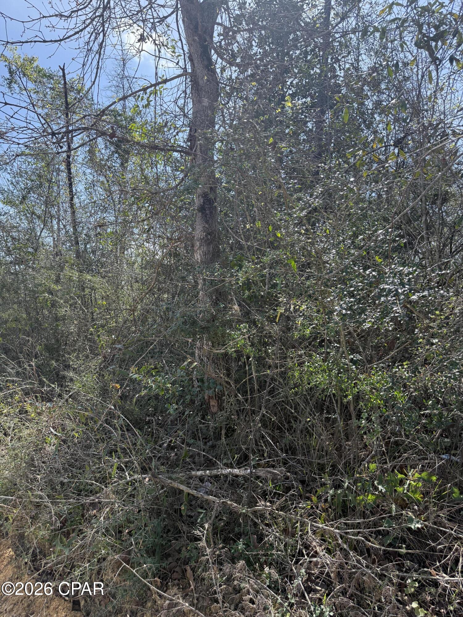 Details for 00 Mount Ararat Road, Marianna, FL 32448