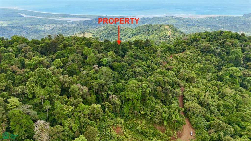 0 bed Land For Sale in Osa, Puntarenas - 1