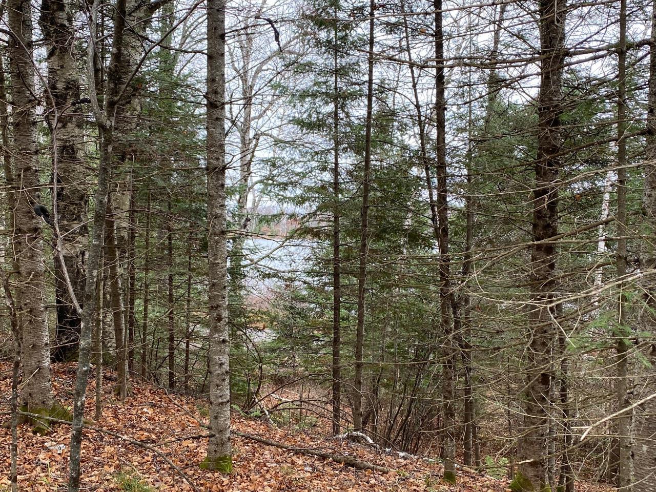 Twin Island Lake Property 0000 Birch Point Ln Photo 7