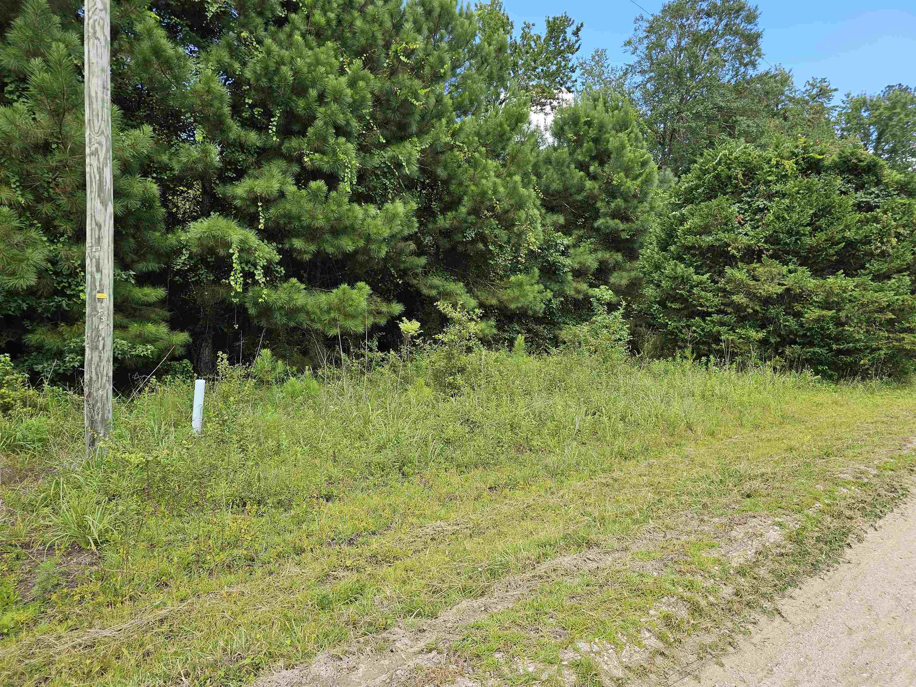 TBD Lot 8 Powell Lane Loris, SC 29569
