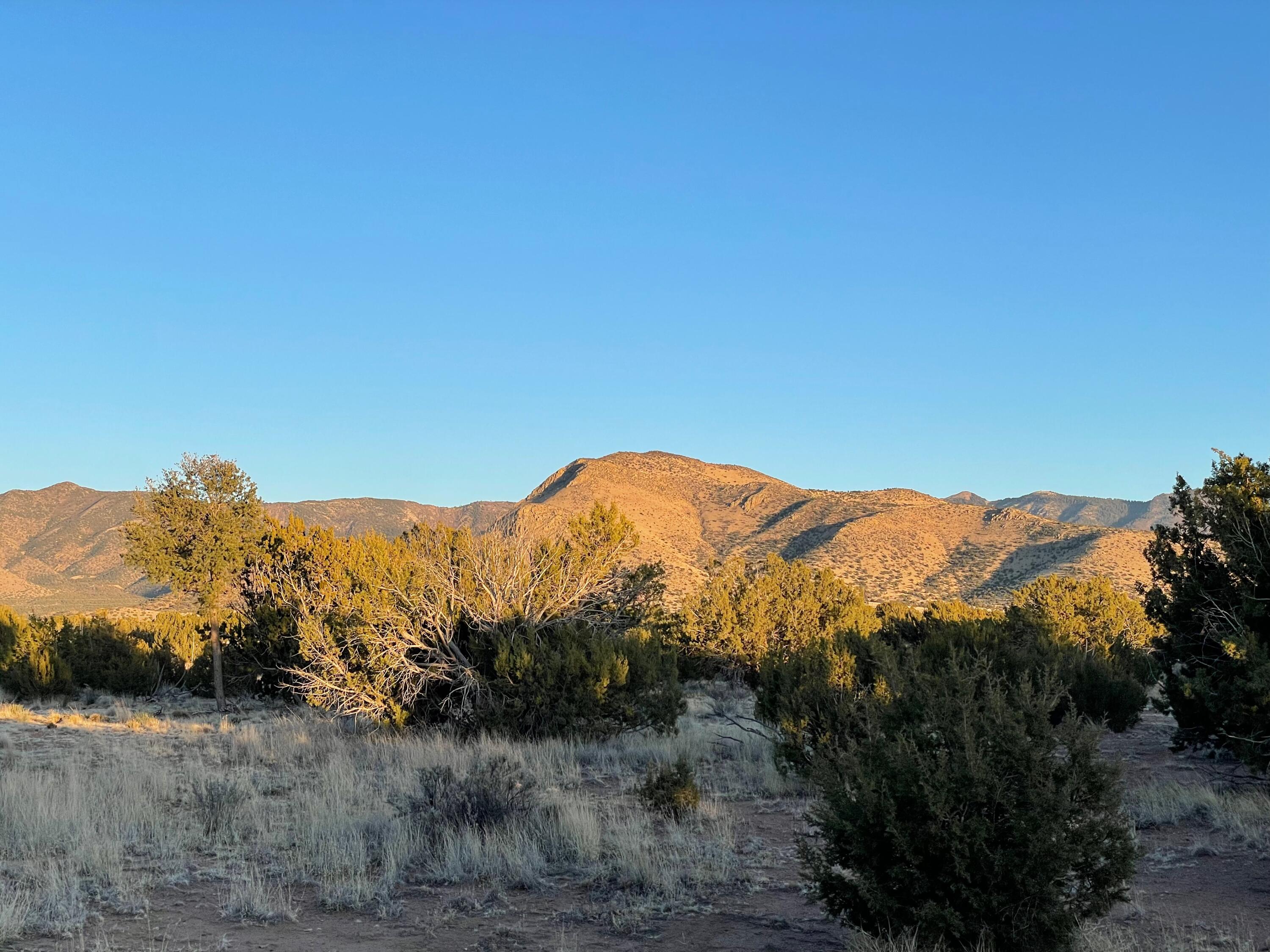 39th image of 34 Longhorn Rd, Magdalena, NM 87825 | MLS# 1099565