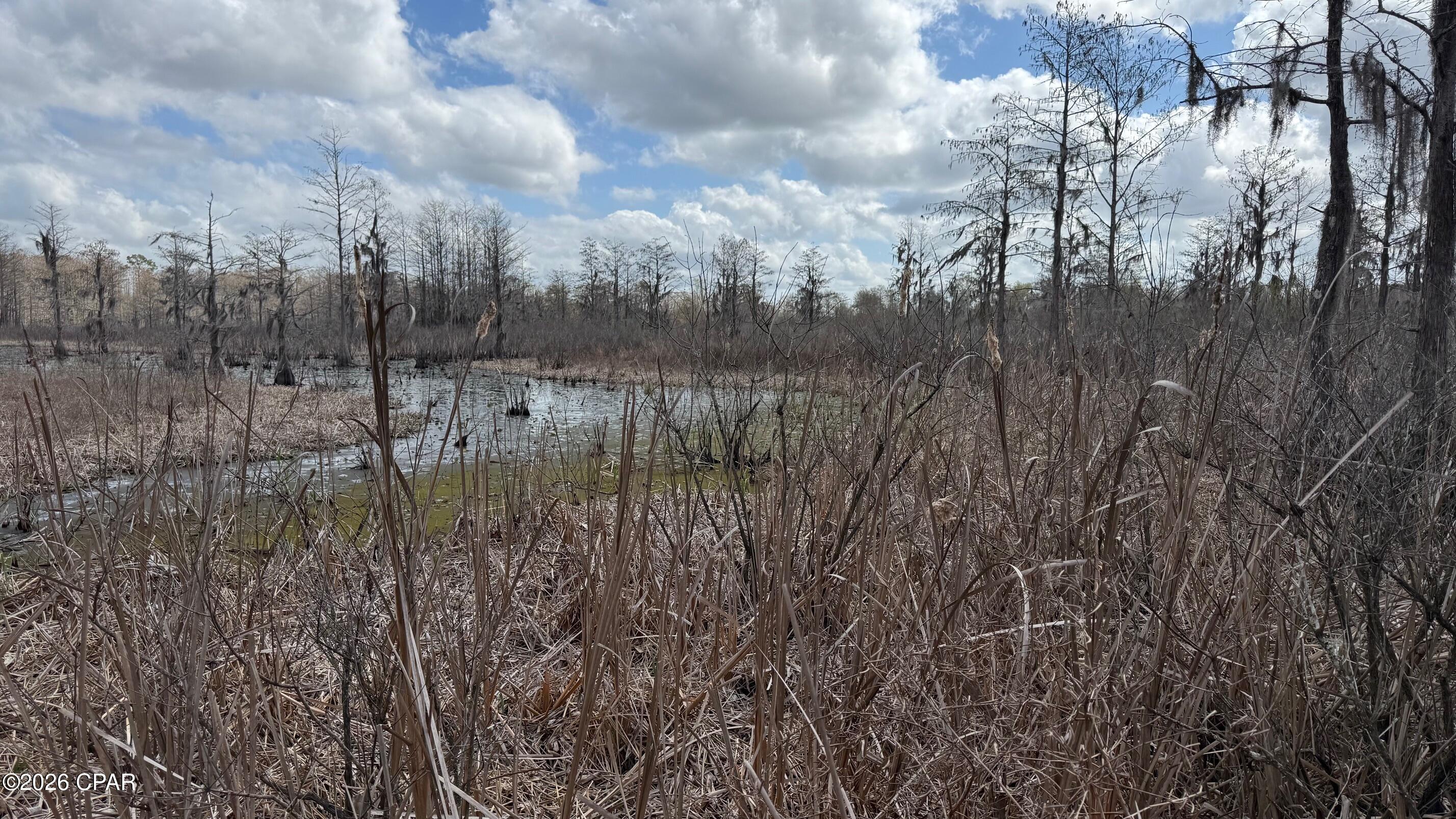 Details for 000 Neel Road, Grand Ridge, FL 32442