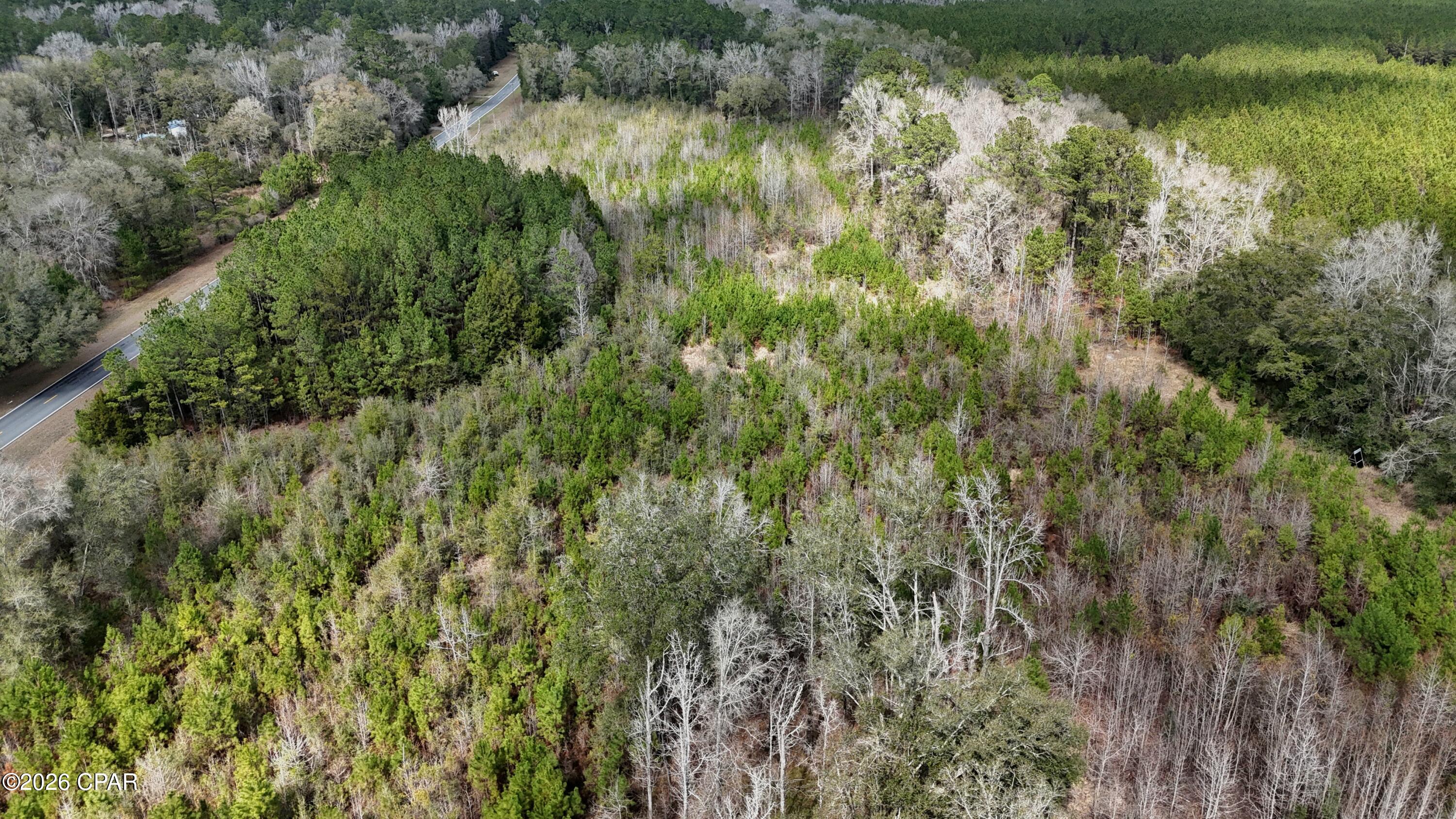 2nd image of 00 Highway 179, Bonifay, FL 32425 | MLS# 786624