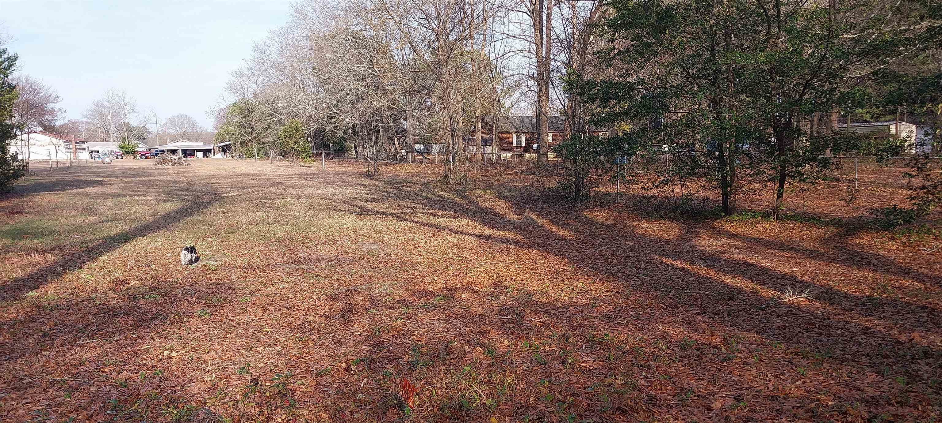2606480 | Photo 5