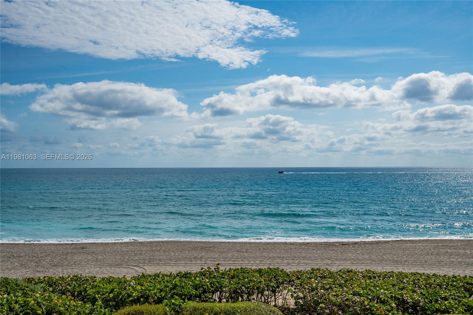 Seawatch At Jupiter Islan