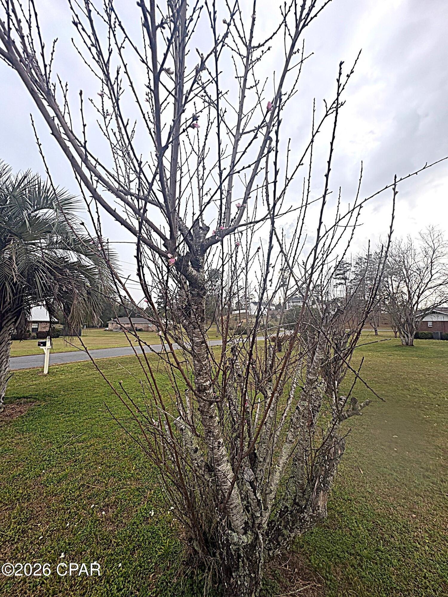 Homes for sale in Marianna, FL | 4642 River Dr, Marianna, FL 32446 | MLS# 786760