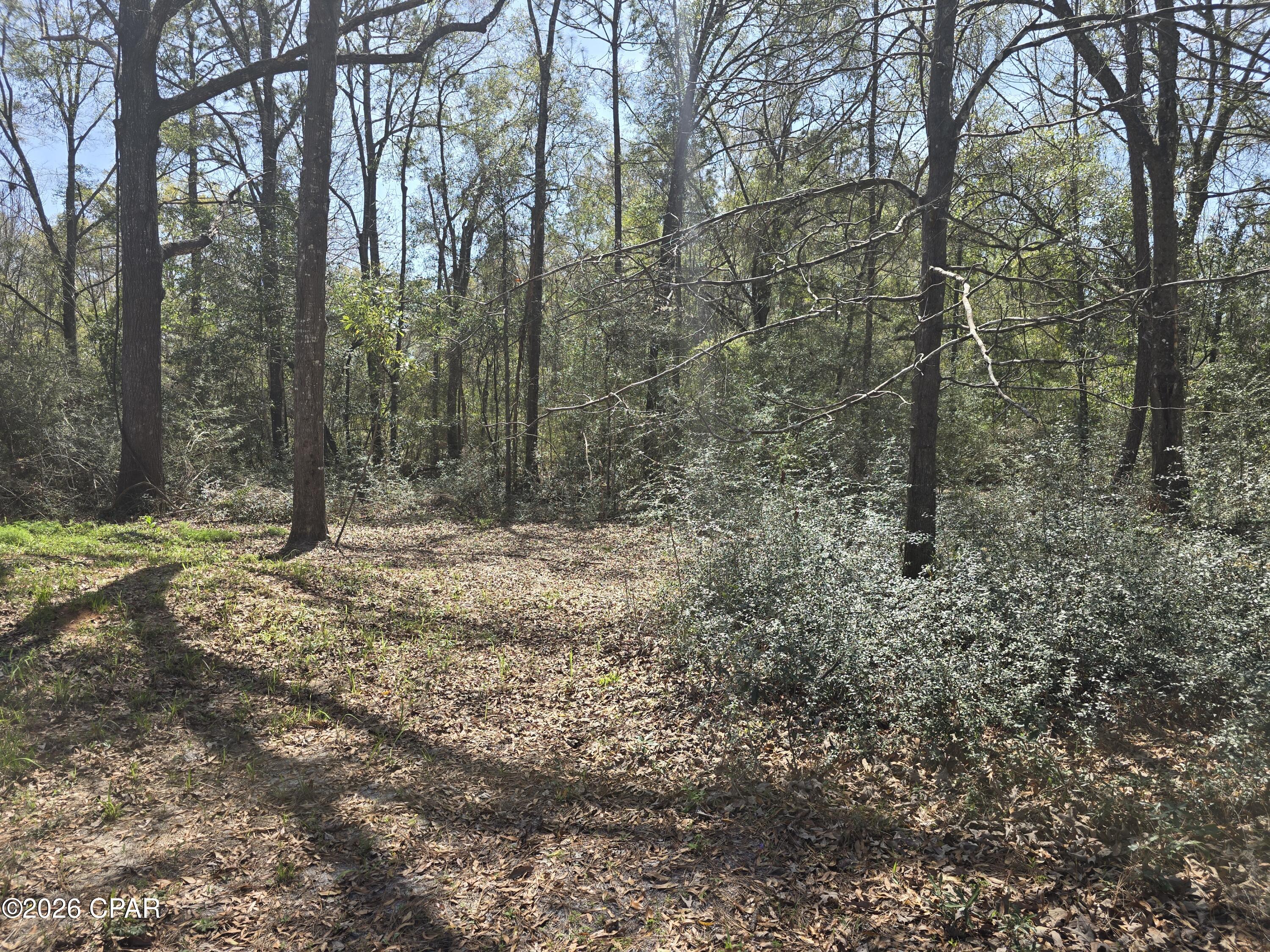 Image 33 For 61 Summer Lane