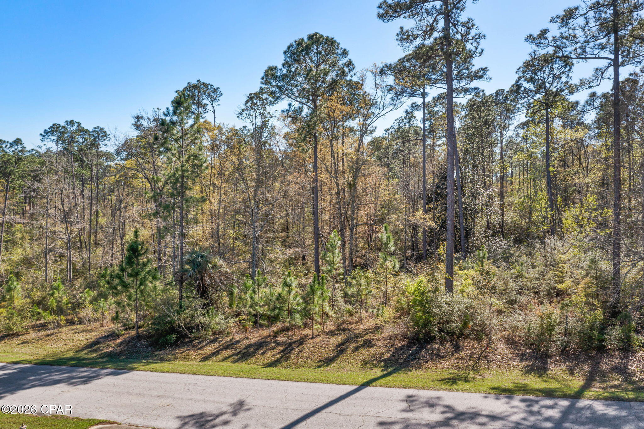 Details for Xxx Pine Bluff Drive, Chipley, FL 32428