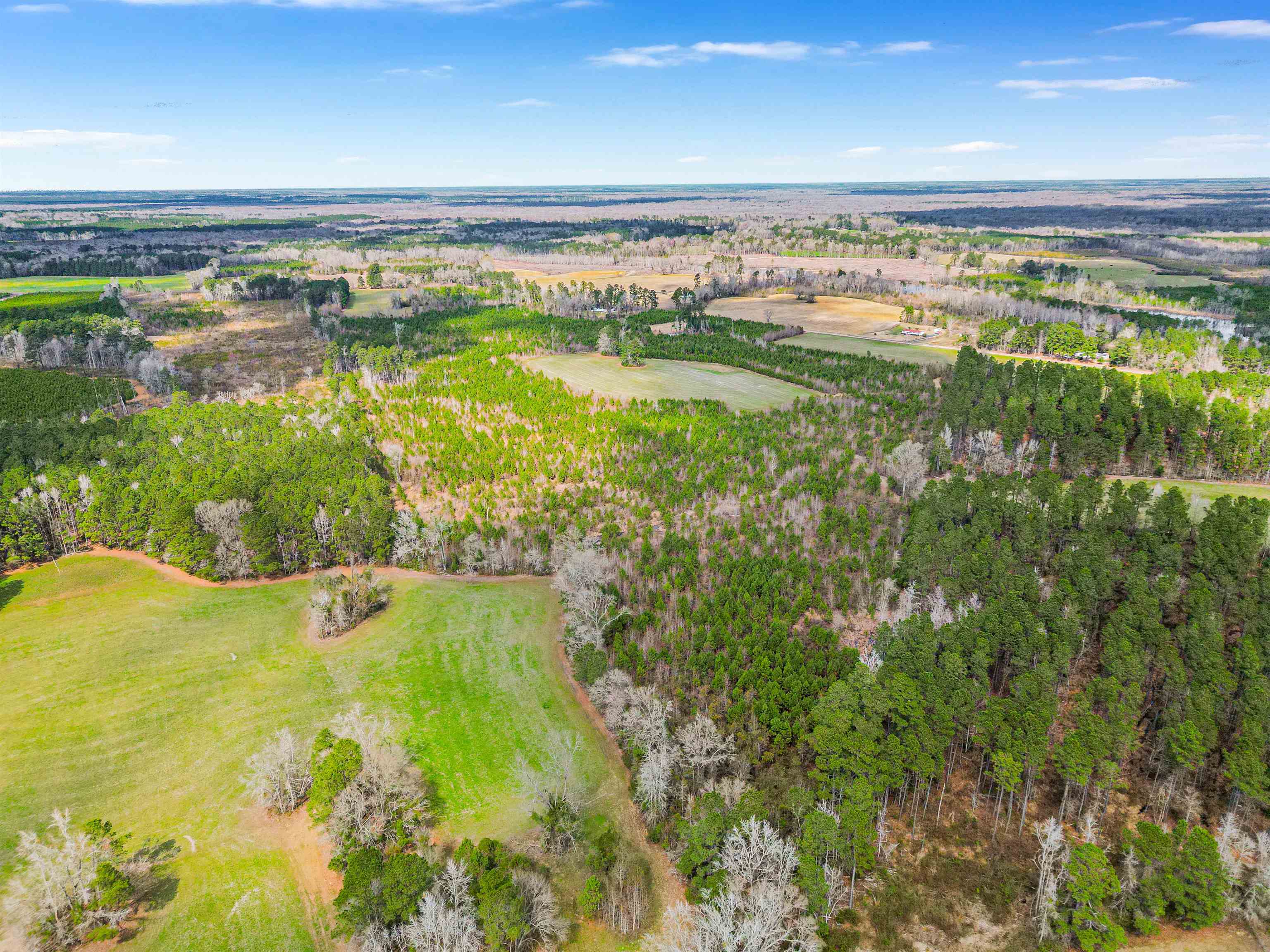 TBD Muddy Creek Rd. Johnsonville, SC 29555