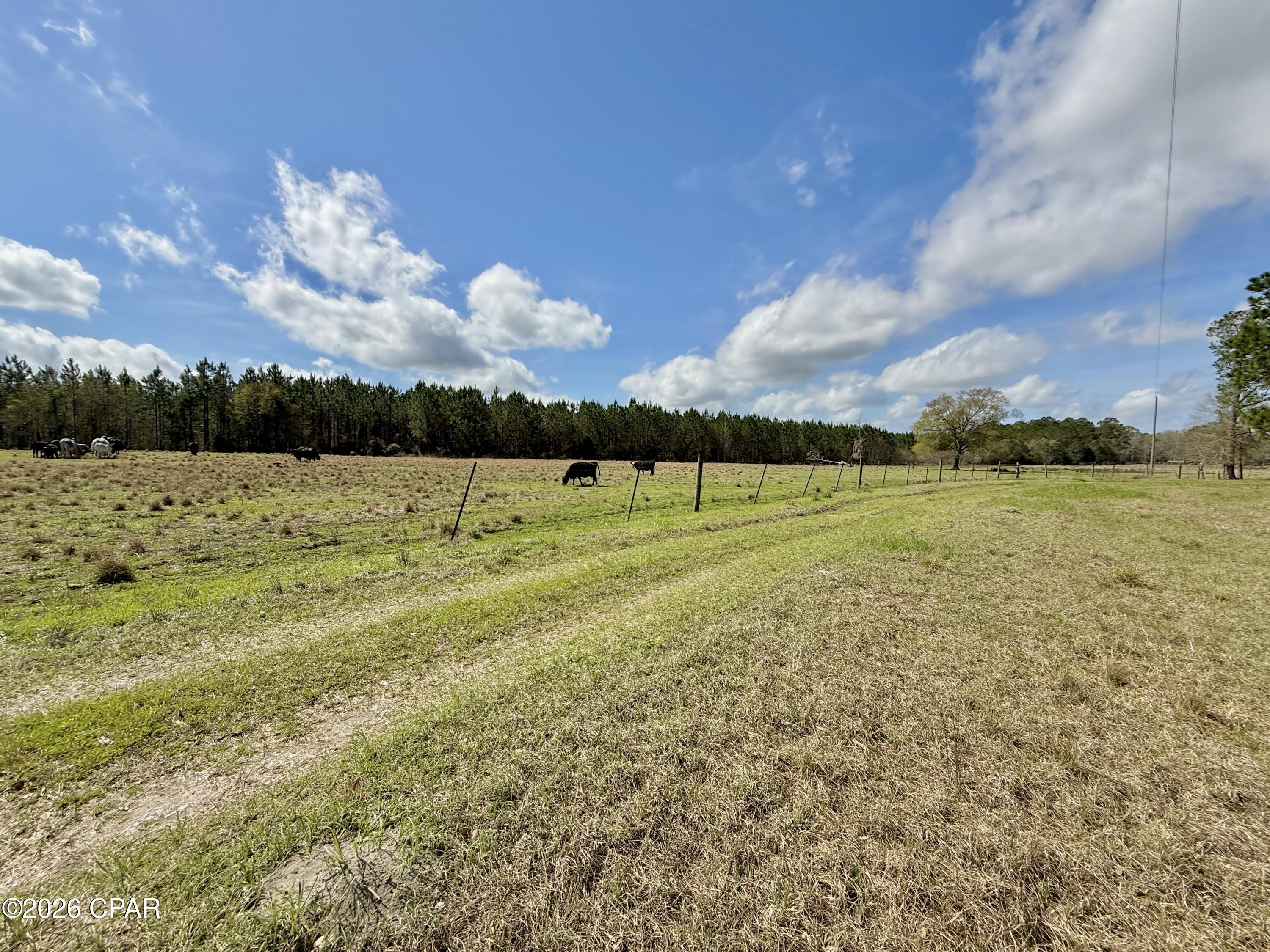 Image 76 For 4906 Galloway Road