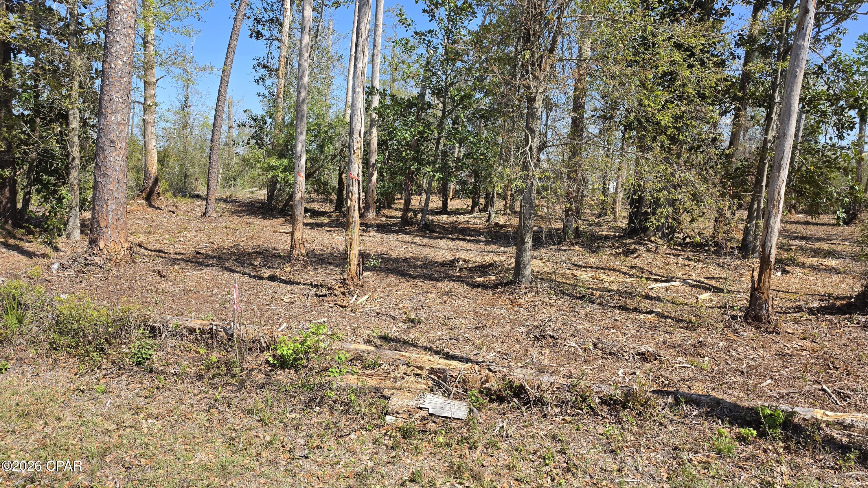 Image 2 For 0000 Hwy 389