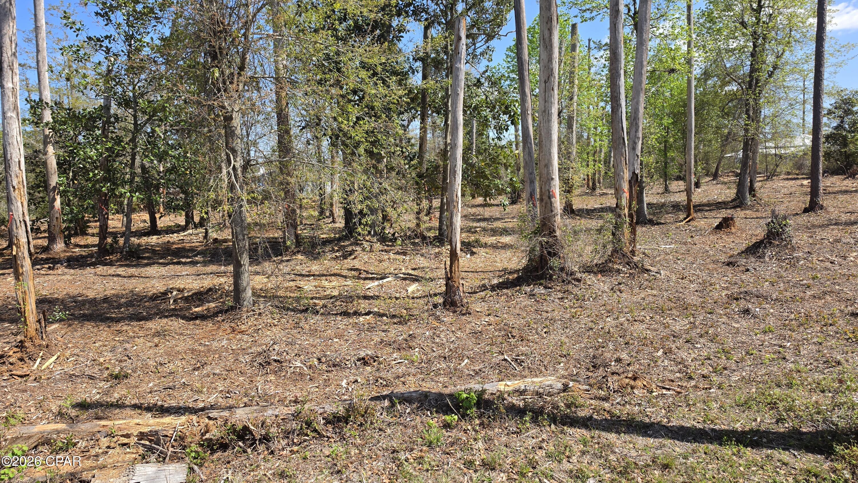 Image 4 For 0000 Hwy 389