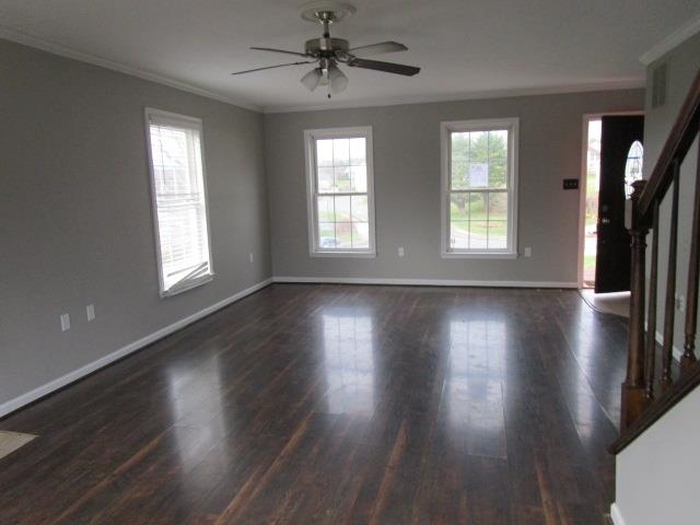 135 Dillon Ct