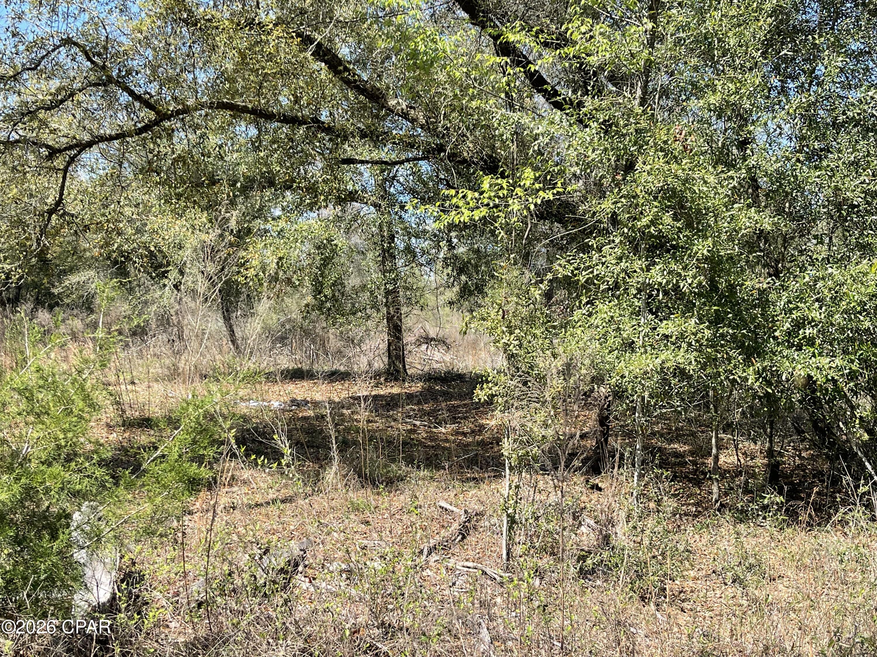 Details for 0 Speights Way, Bascom, FL 32423