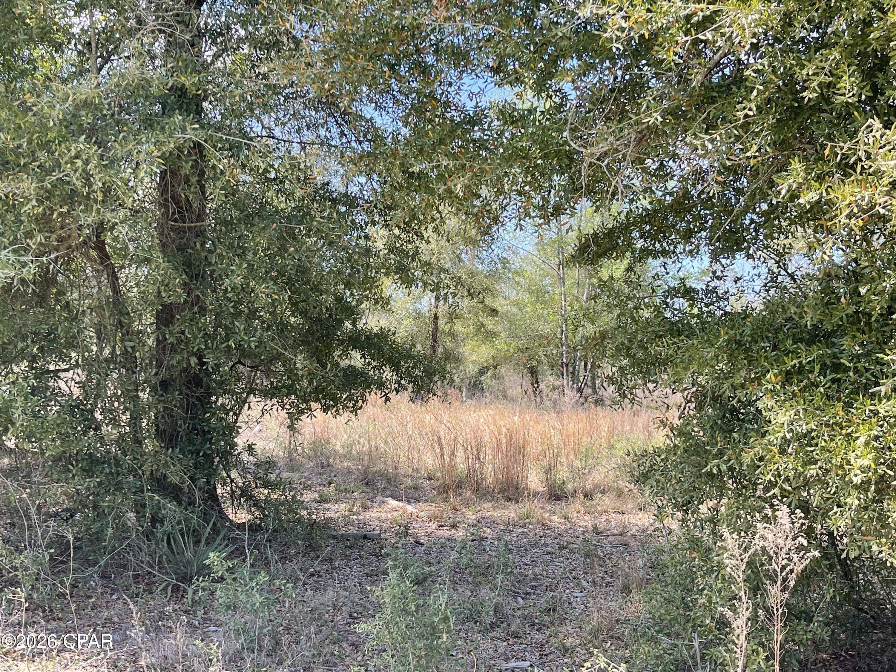 Image 2 For 0 Speights Way