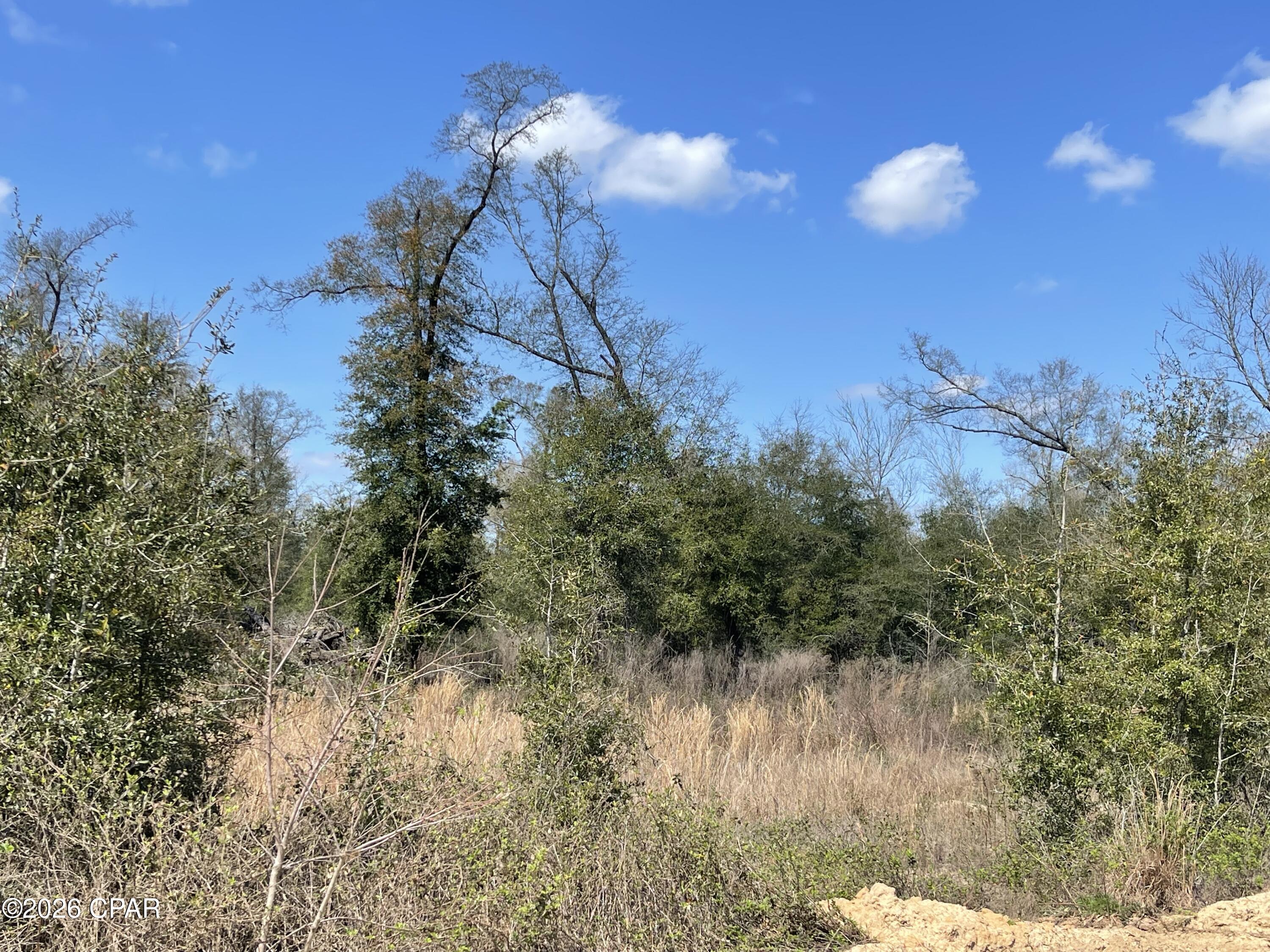 Image 4 For 0 Speights Way